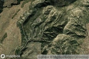 Elbo Spring