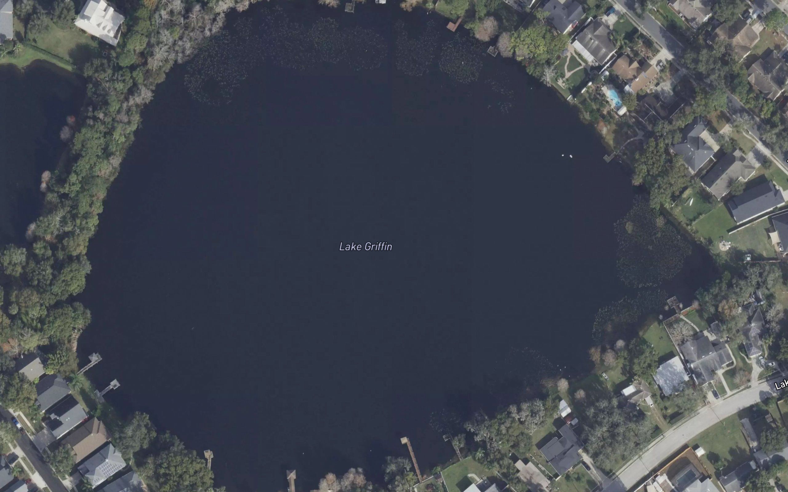 Lake Griffin