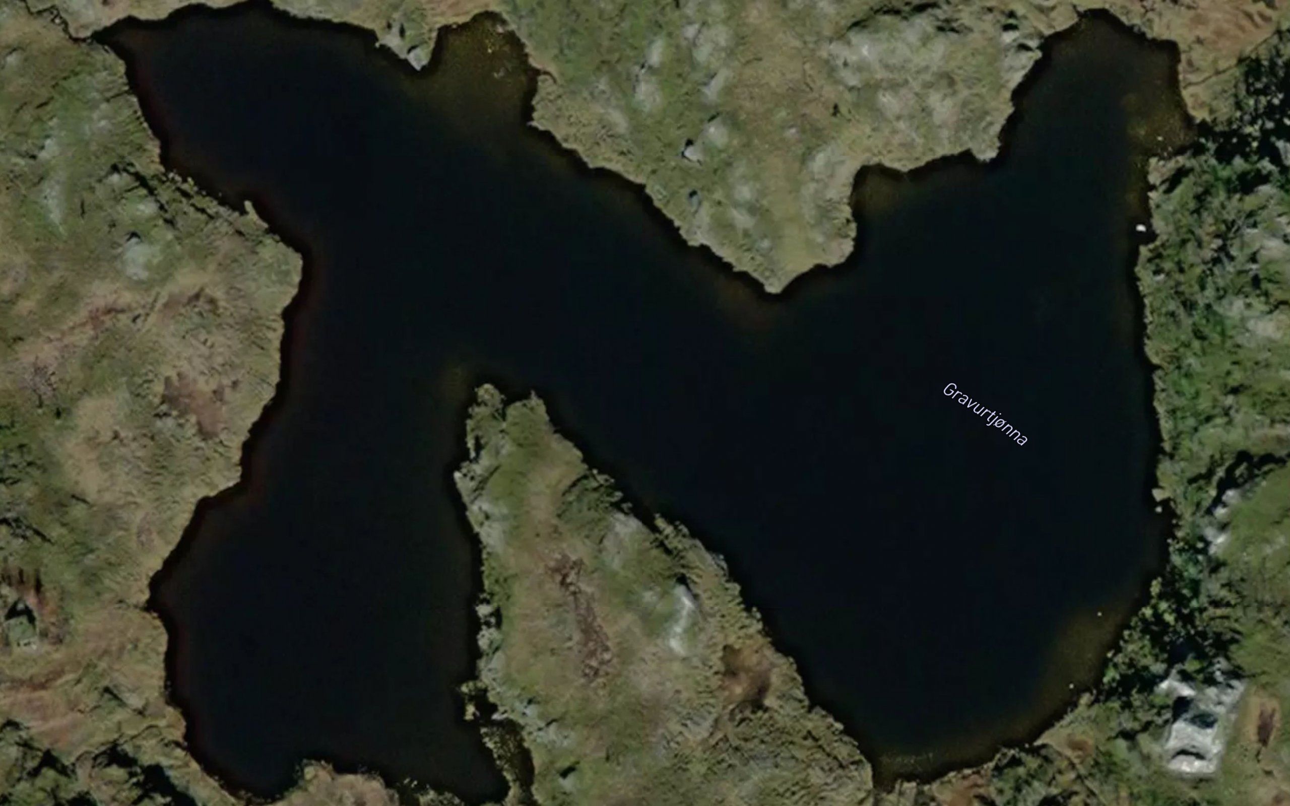 Gravurdtjorna