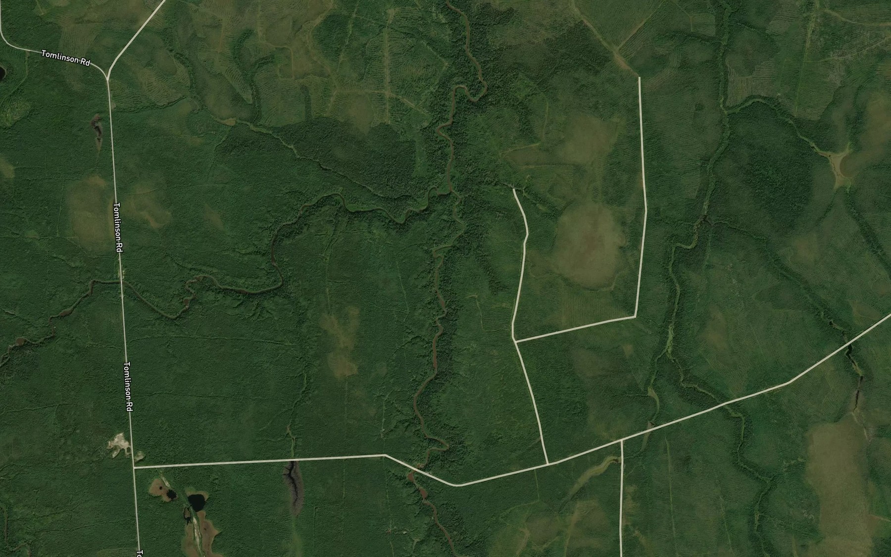 Satellite map of the Case River