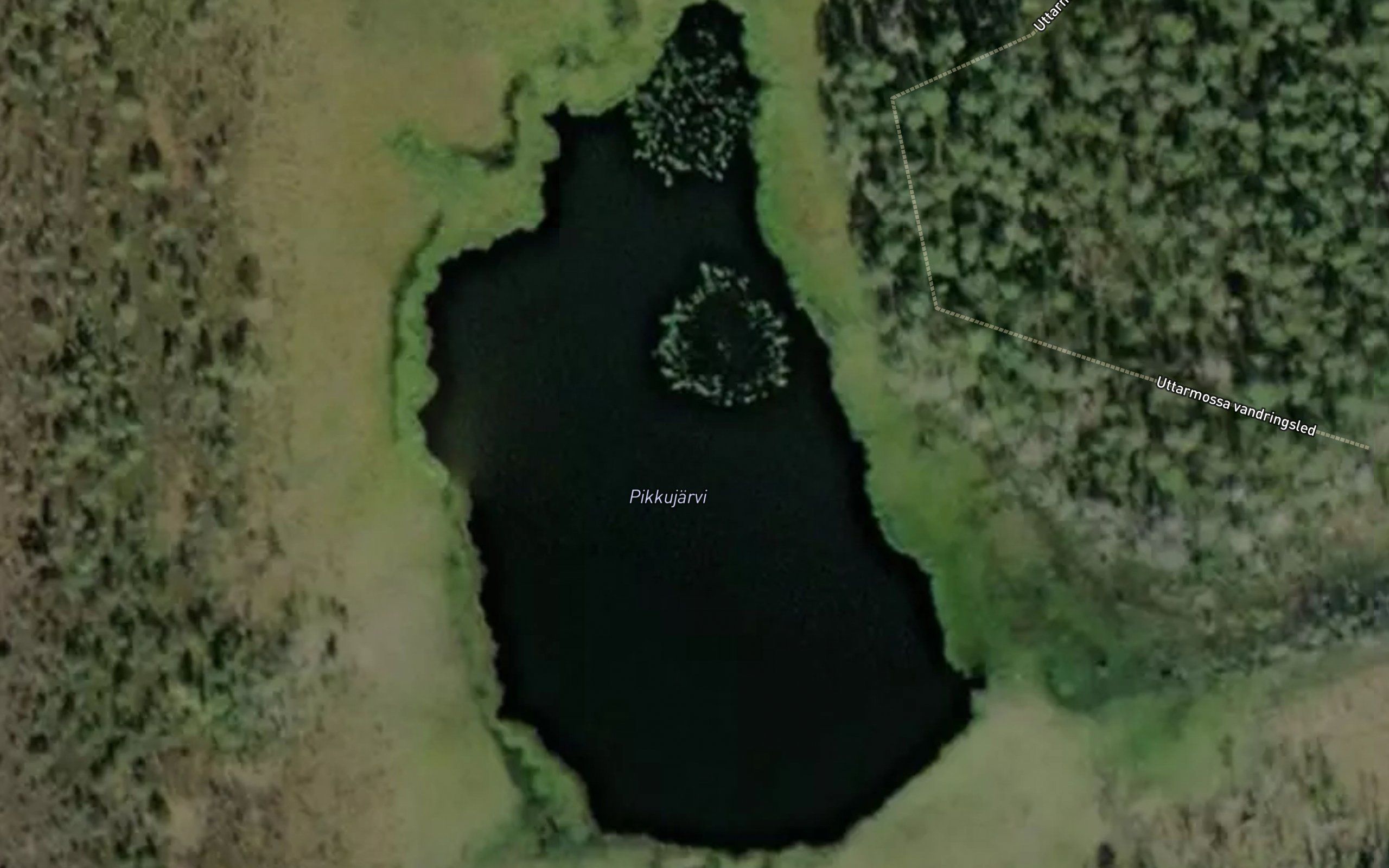Pikkujarvi