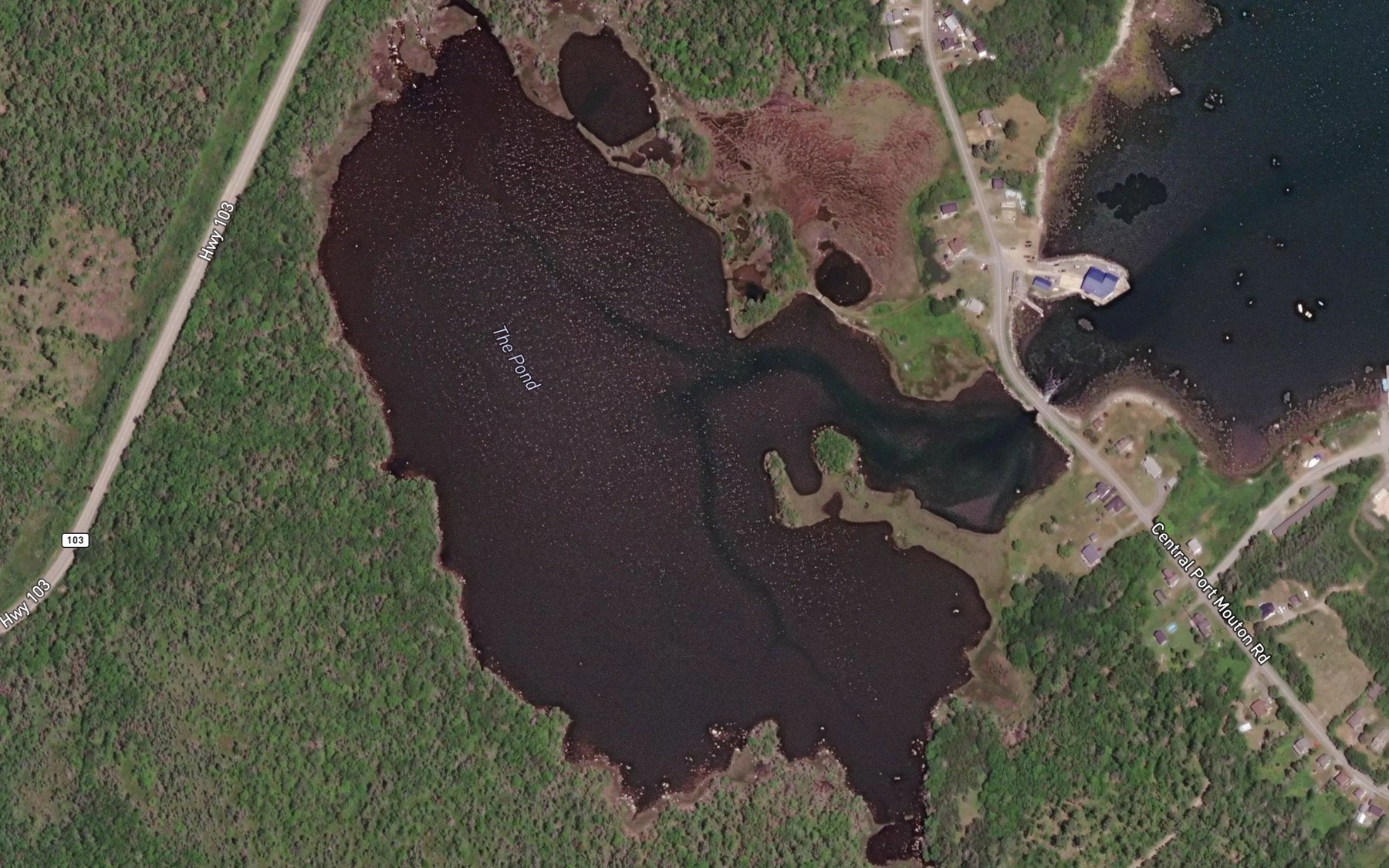Satellite map of the The Pond