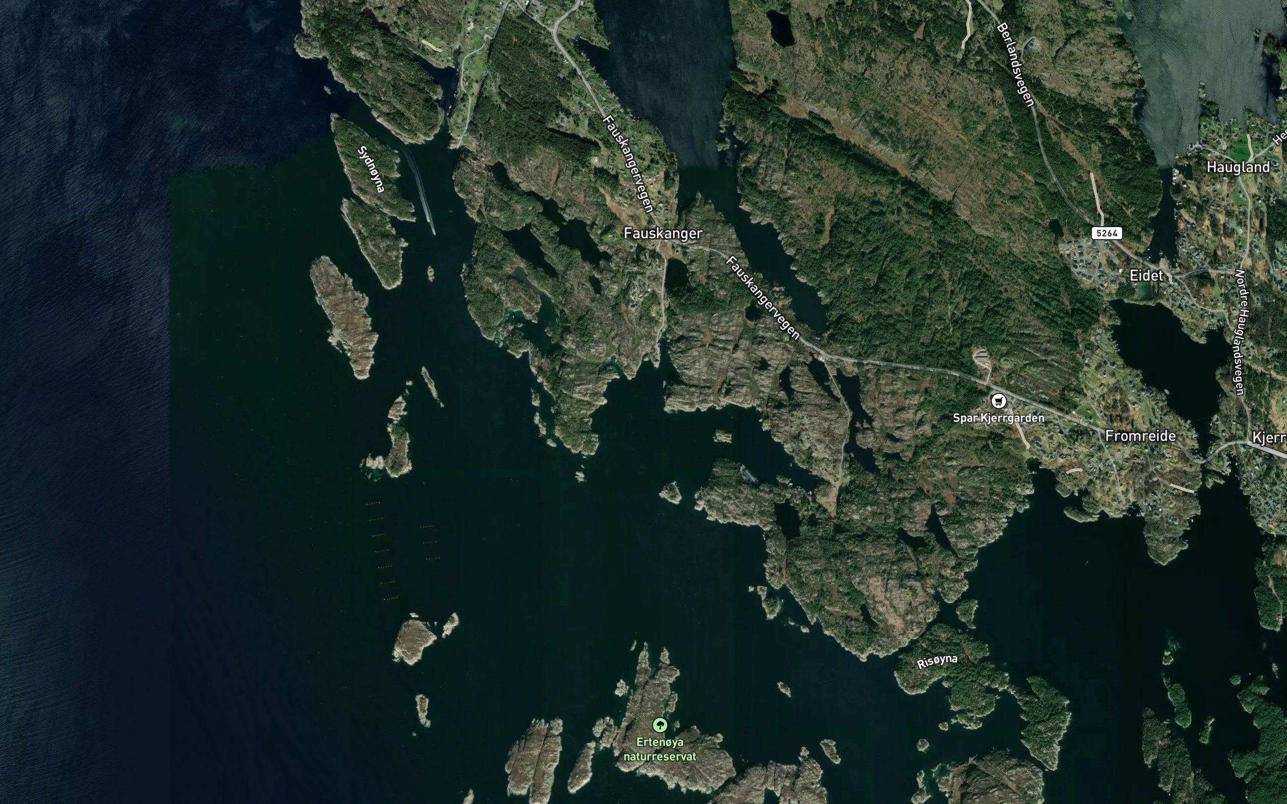 Fauskangsvagen