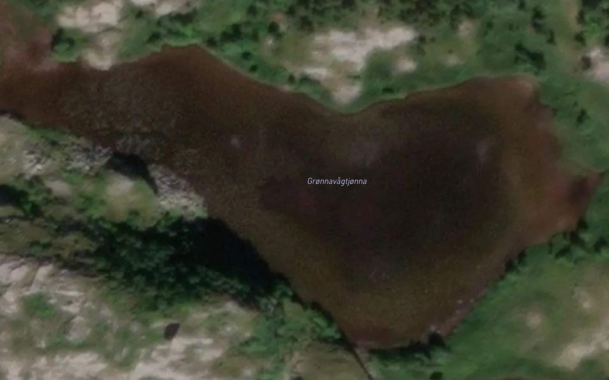 Gronavagtjorna