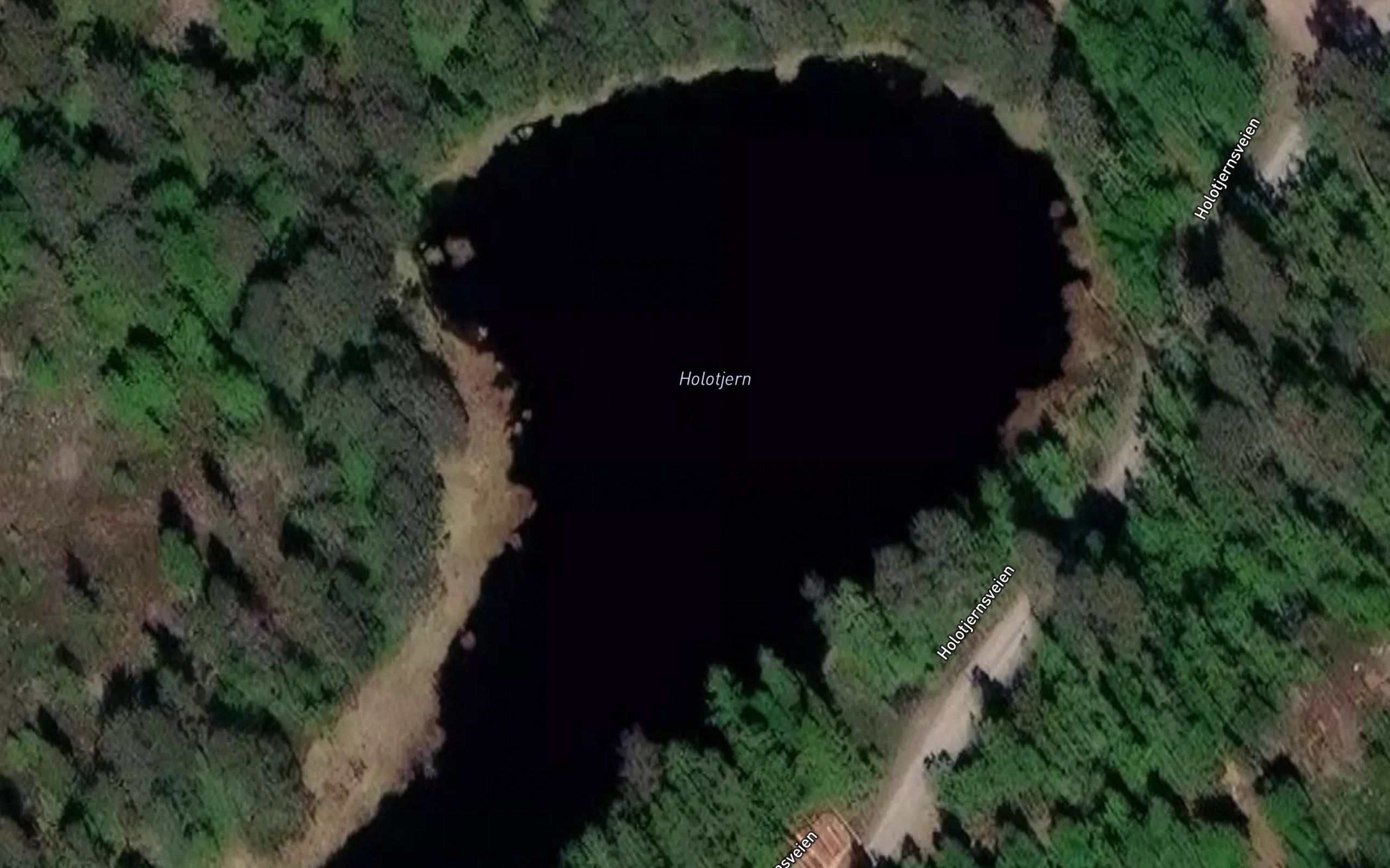 Holotjern