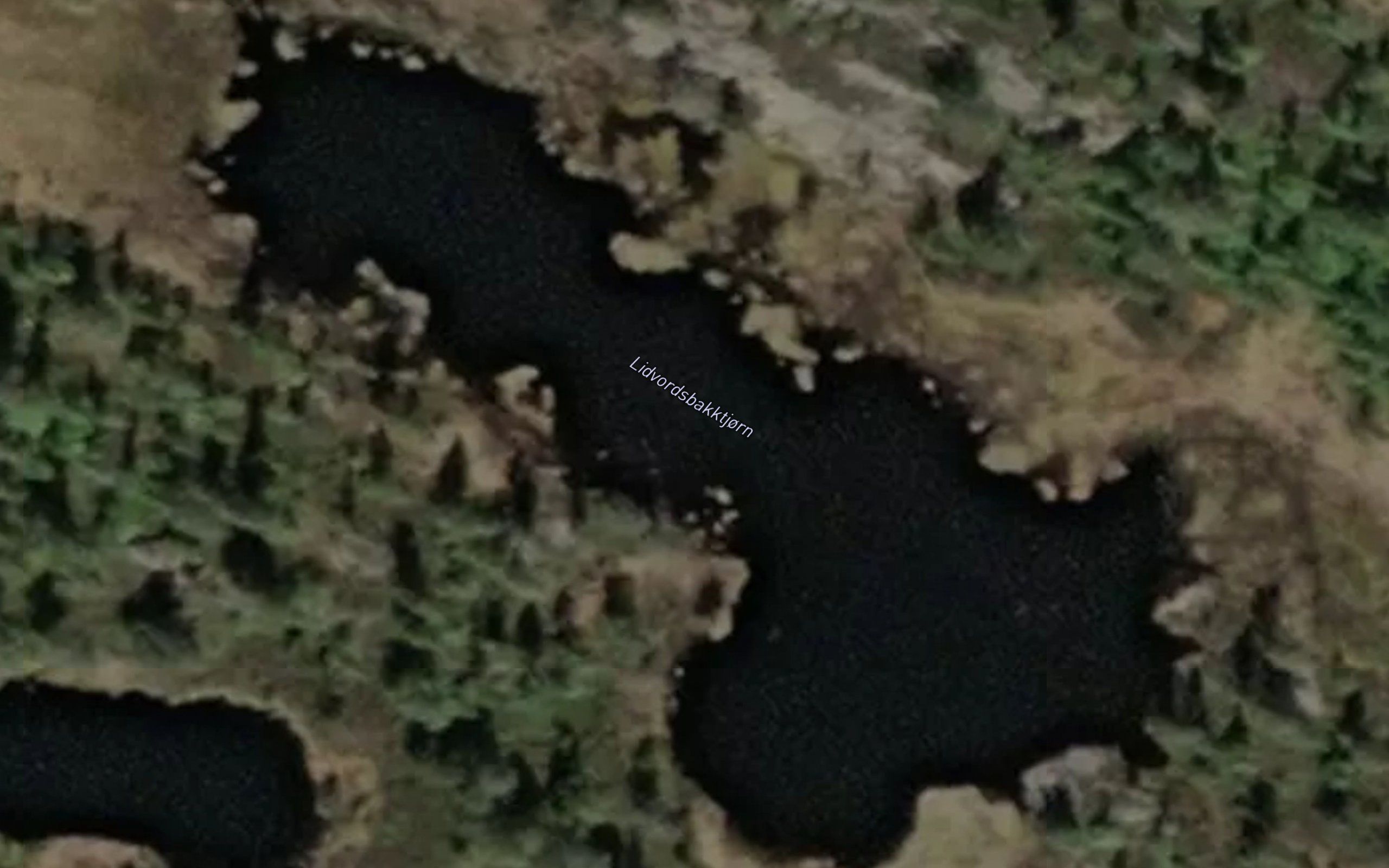 Lidvordsbakktjorn