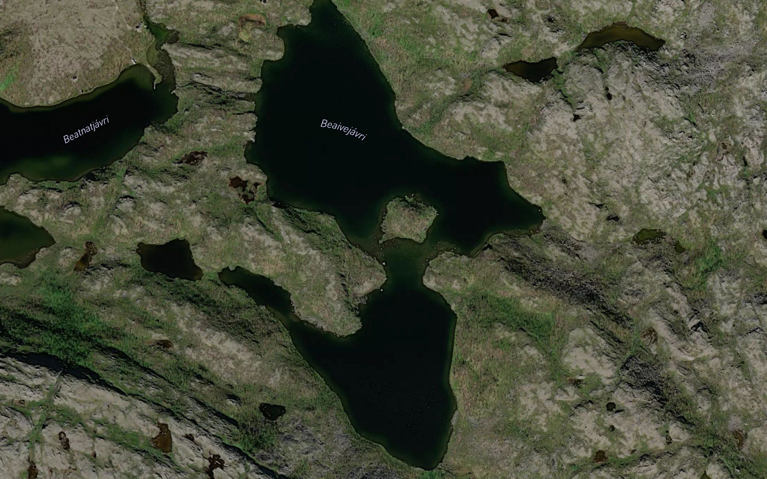 Baeivejavri