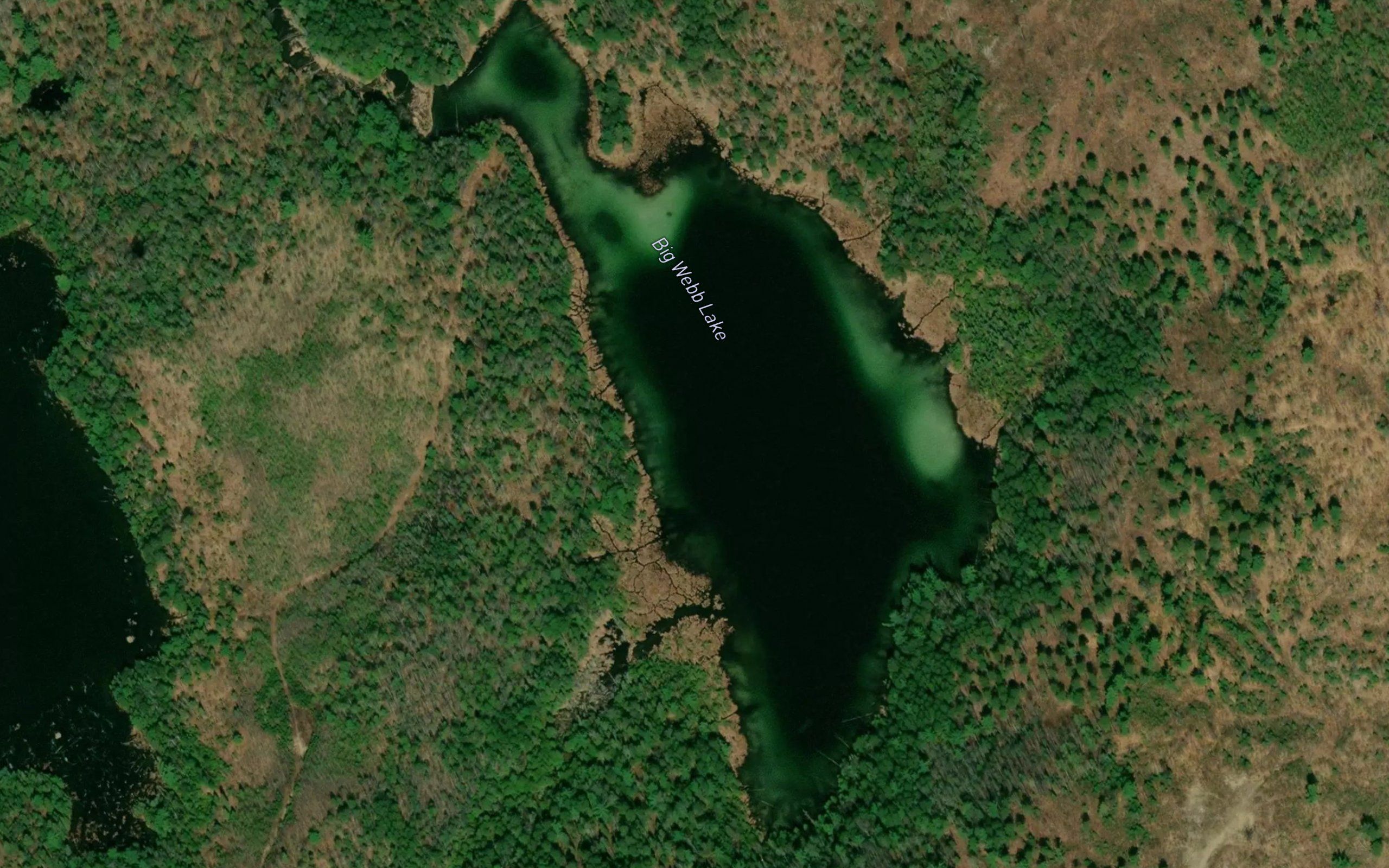 Big Webb Lake