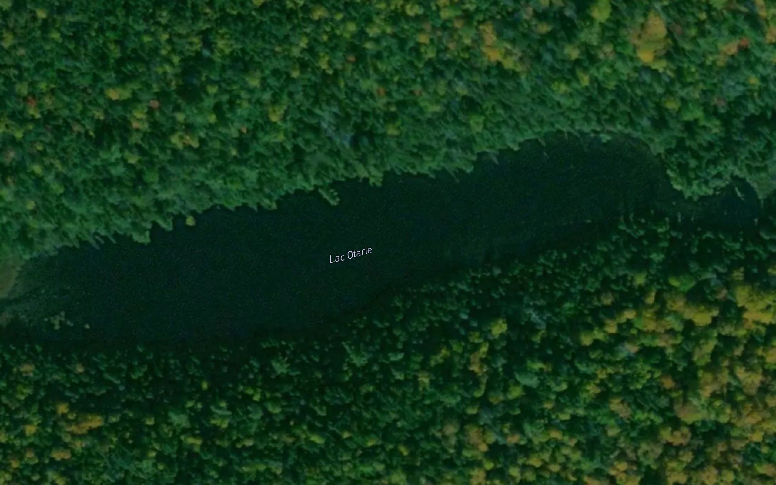 Lac Otarie