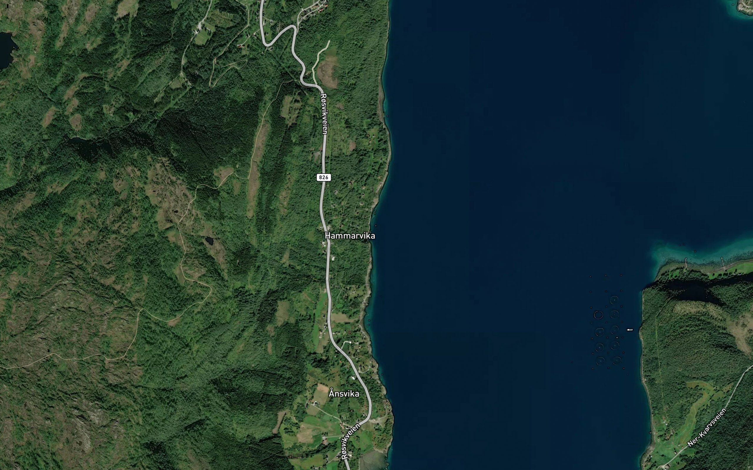 Hammarvika