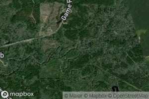 Little Prong Creek