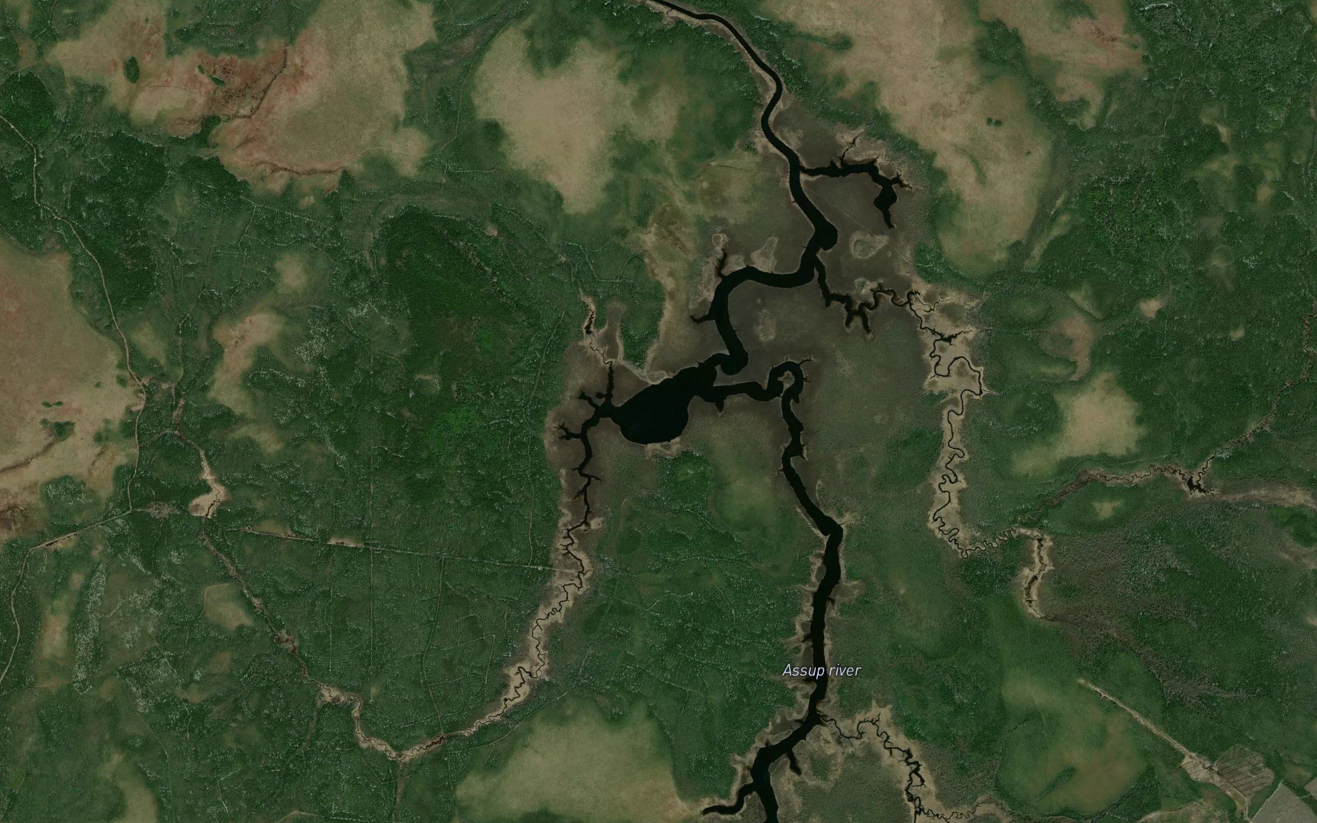 Lac Peacock