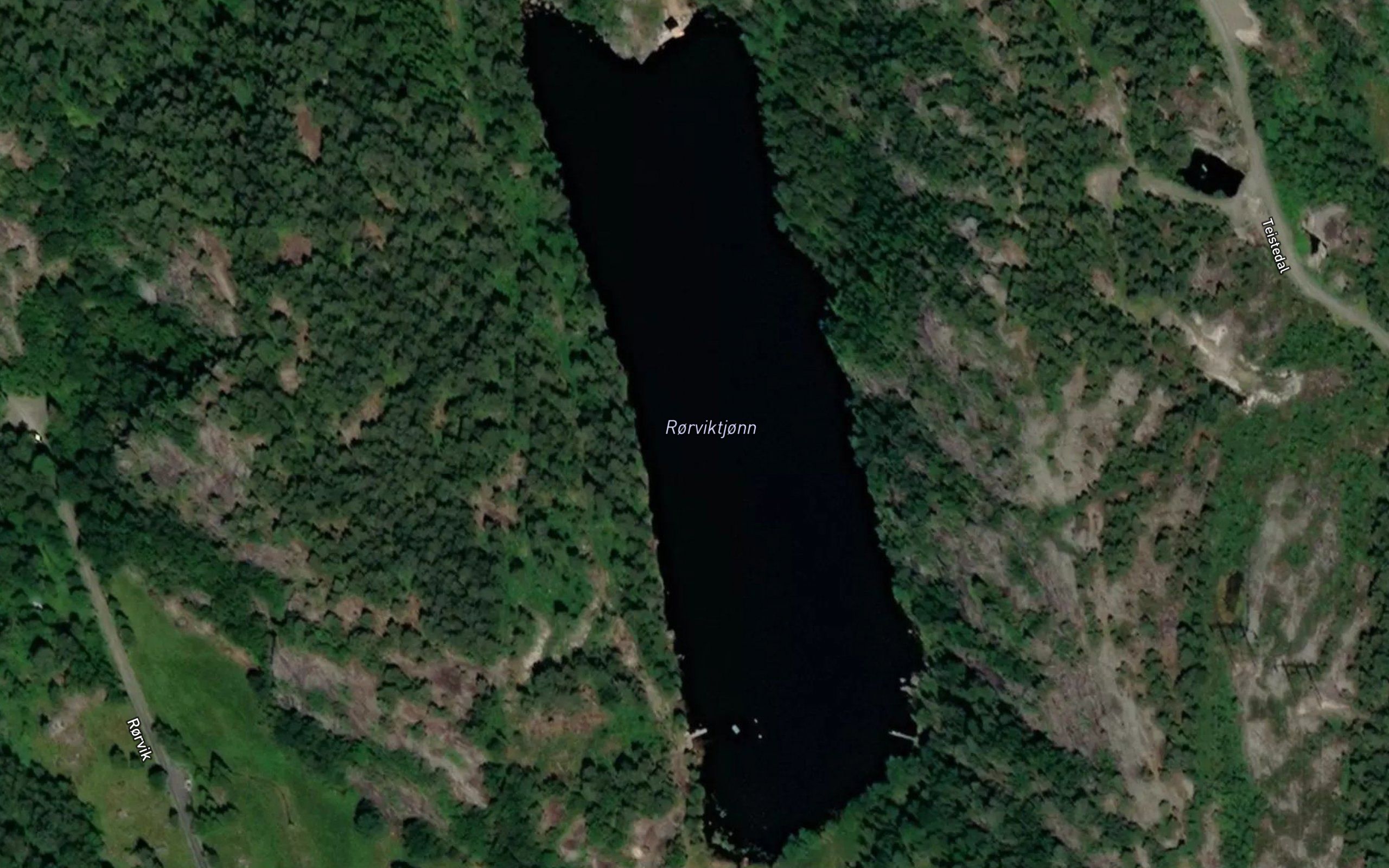 Rorviktjonn
