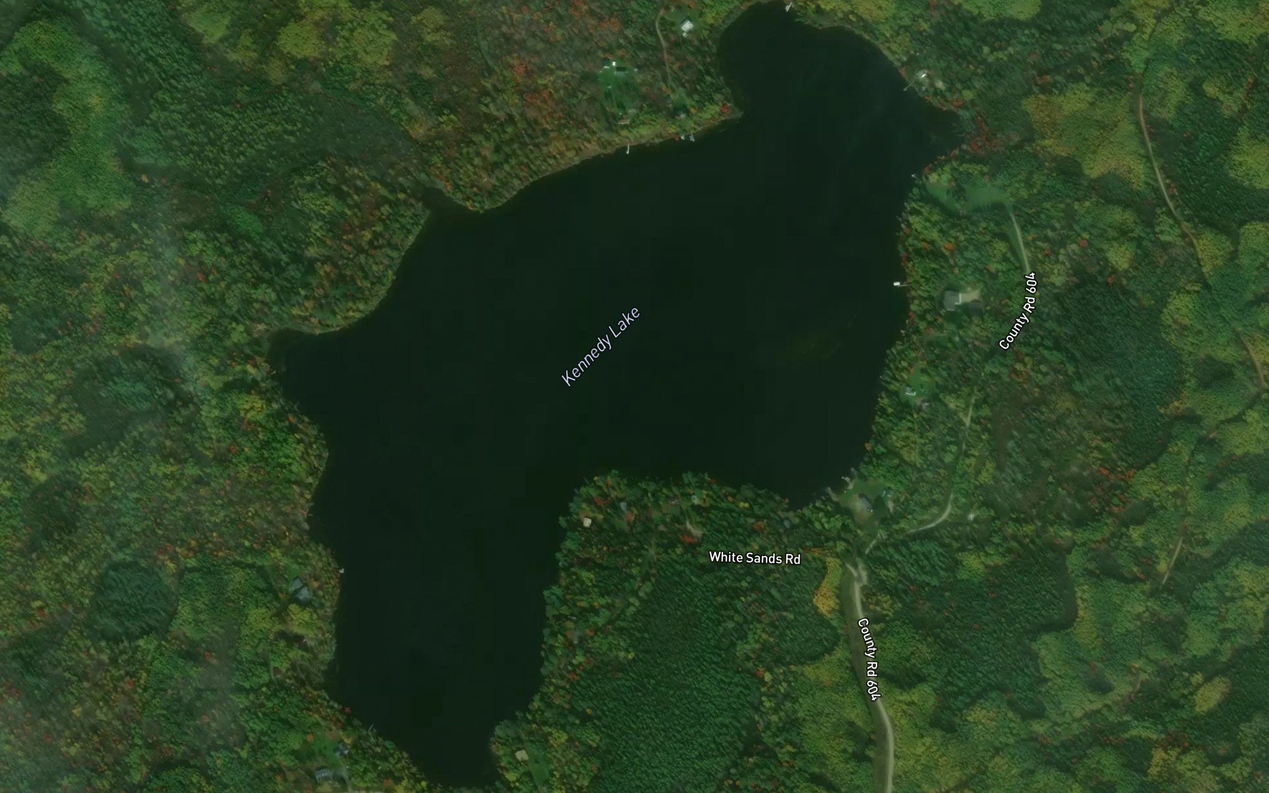 Kennedy Lake