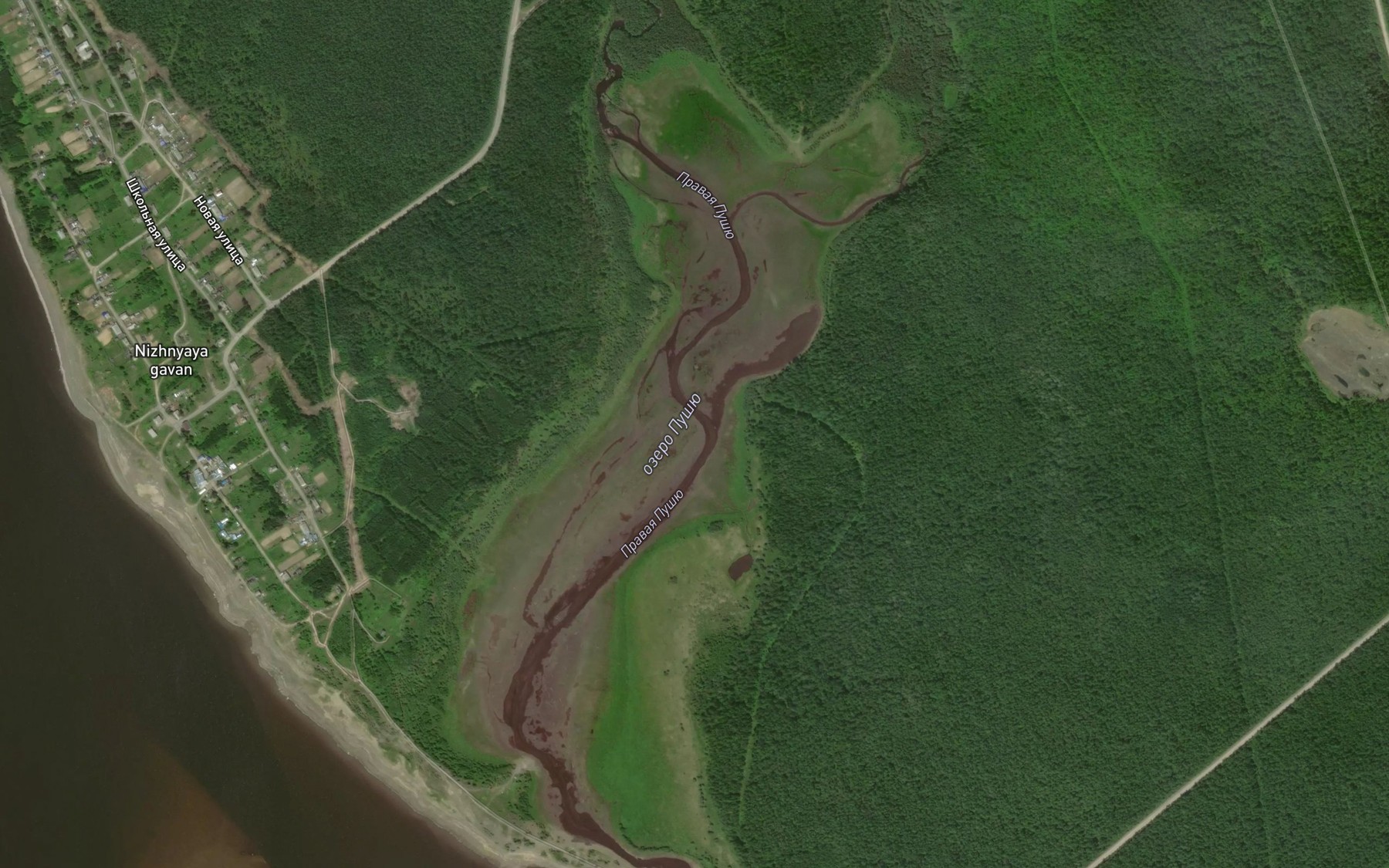 Satellite map of the Levaya Pushyu