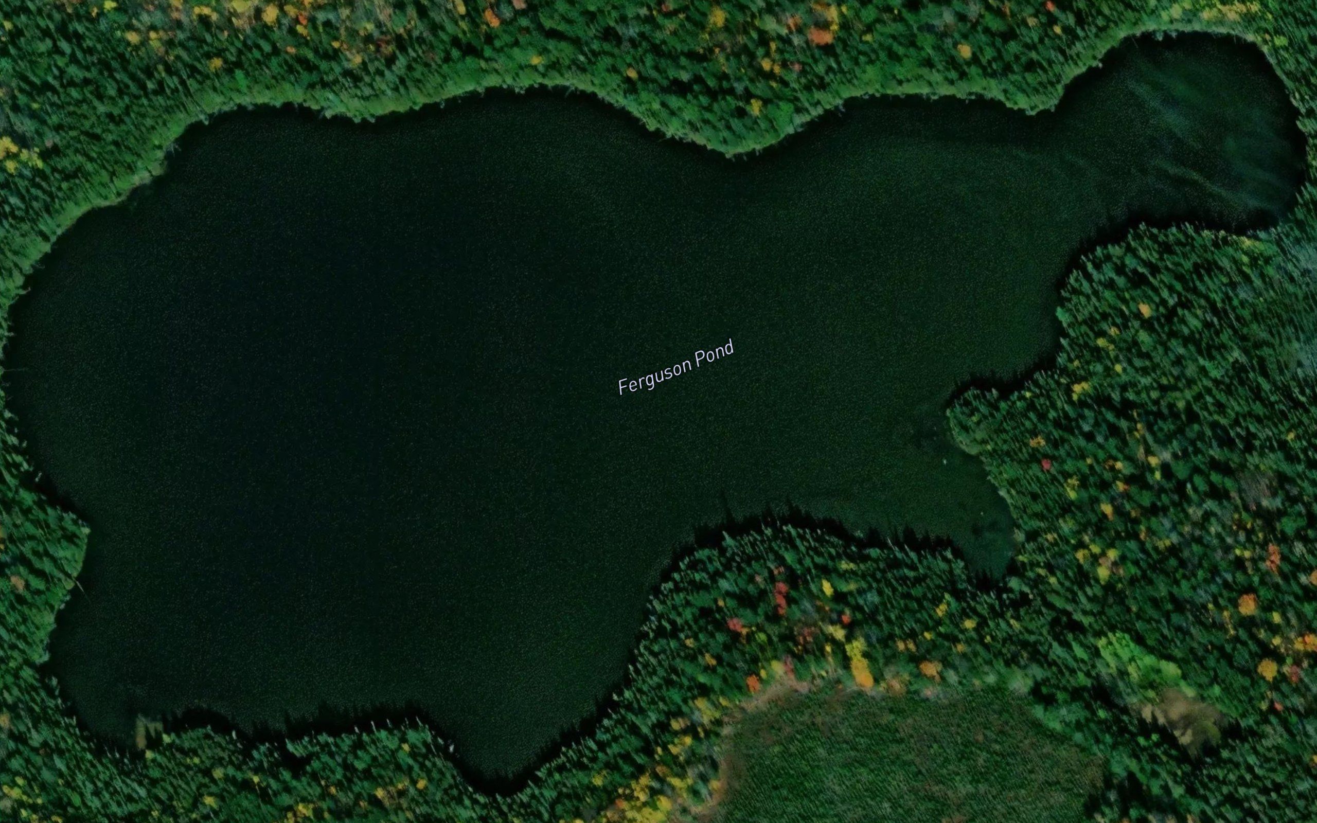 Ferguson Pond
