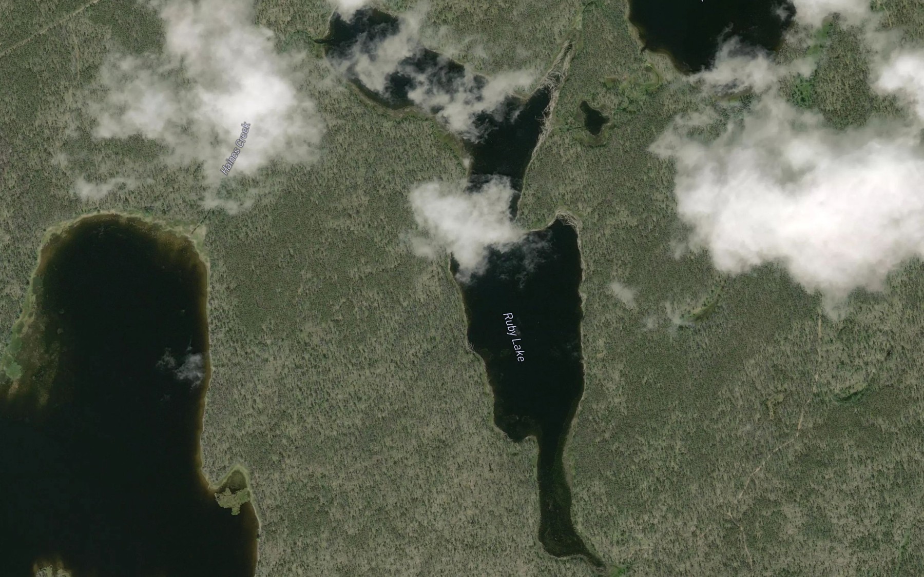 Satellite map of the Ruby Lake