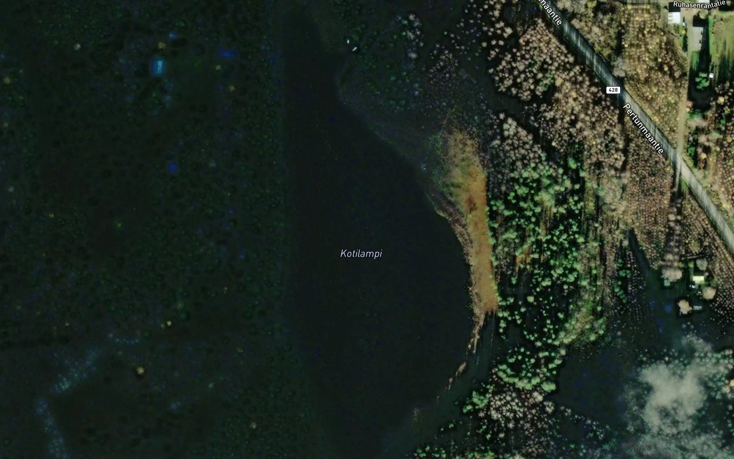 Kotilampi