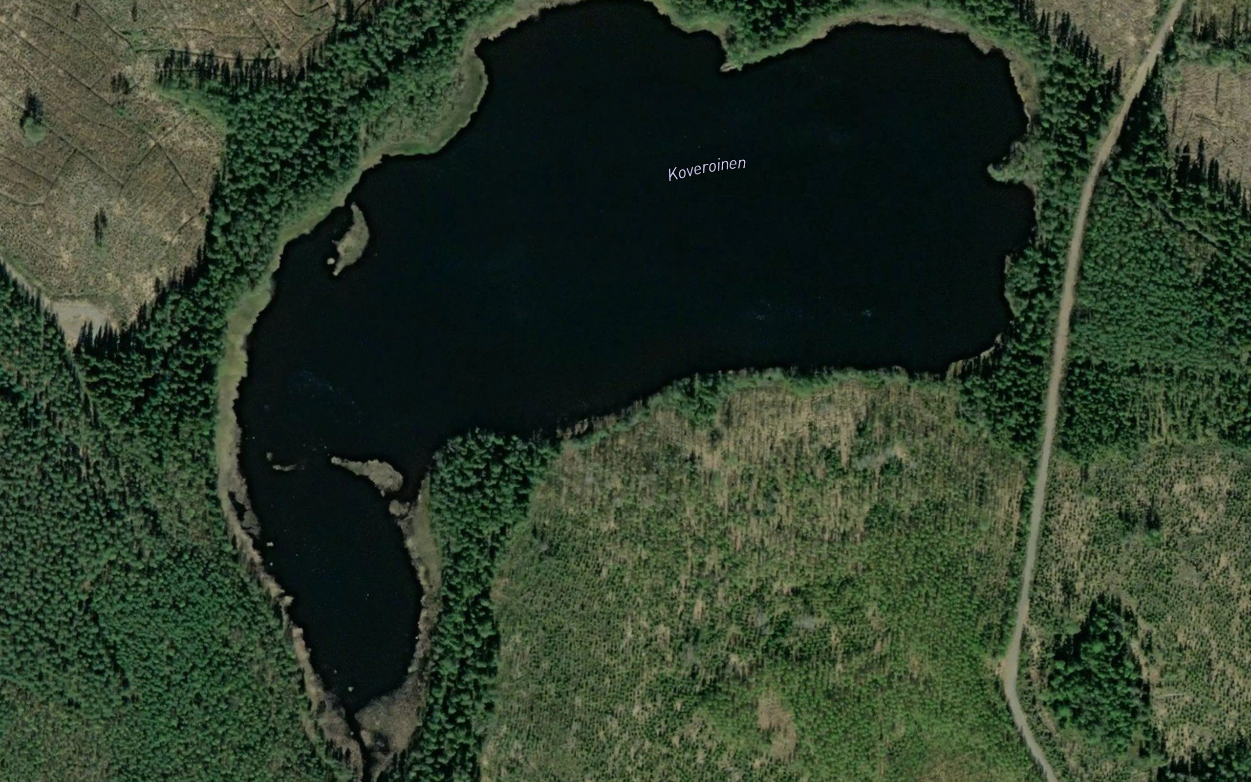 Koveroinen