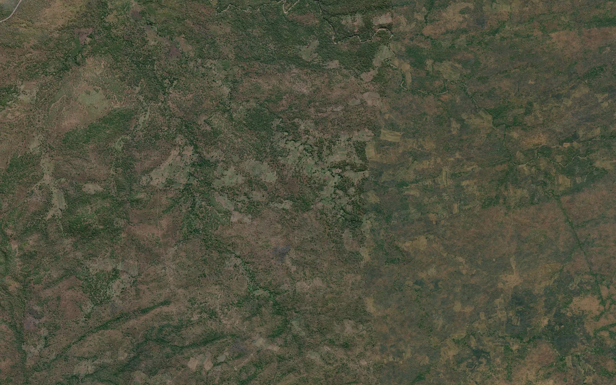 Chinsimbwe