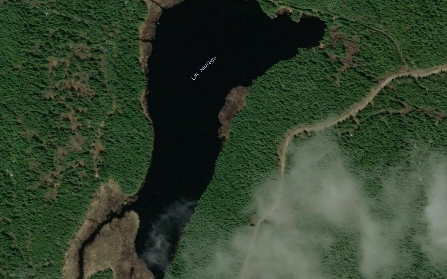 Satellite map of the Lac Savage