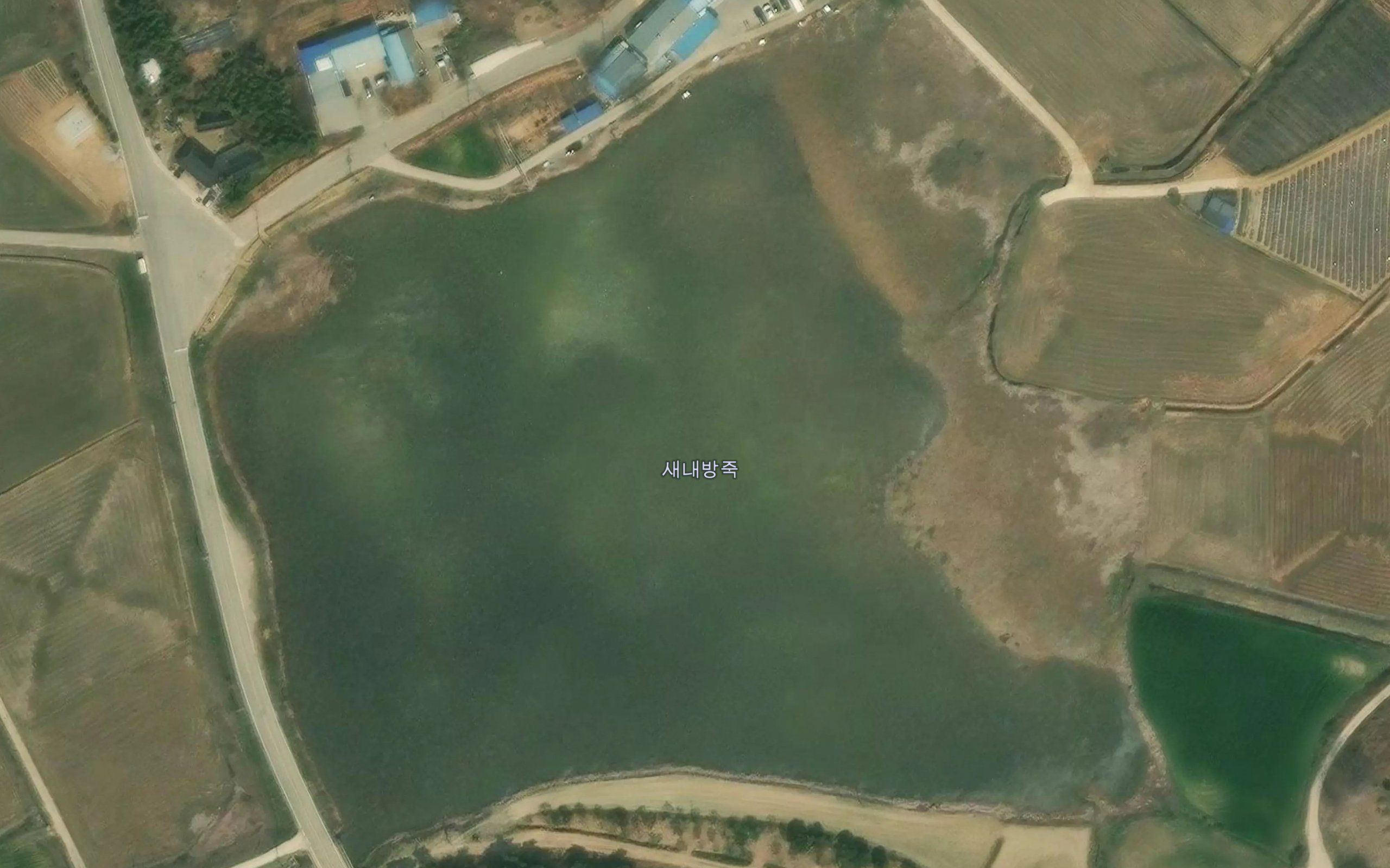 Saenaebangjuk