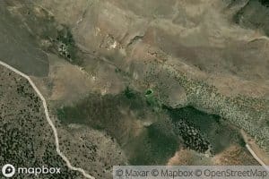 Willow Springs
