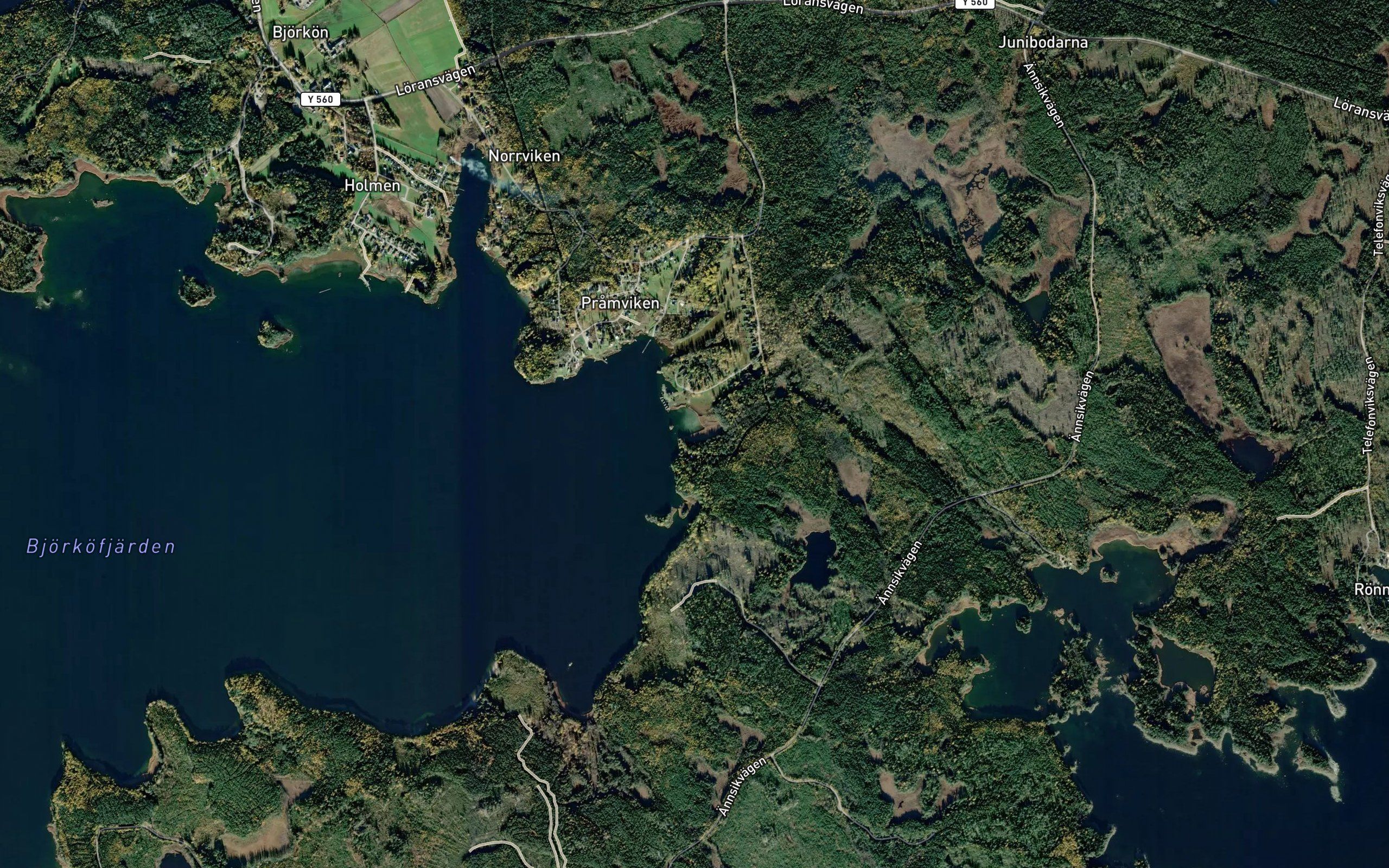 Ripoviken