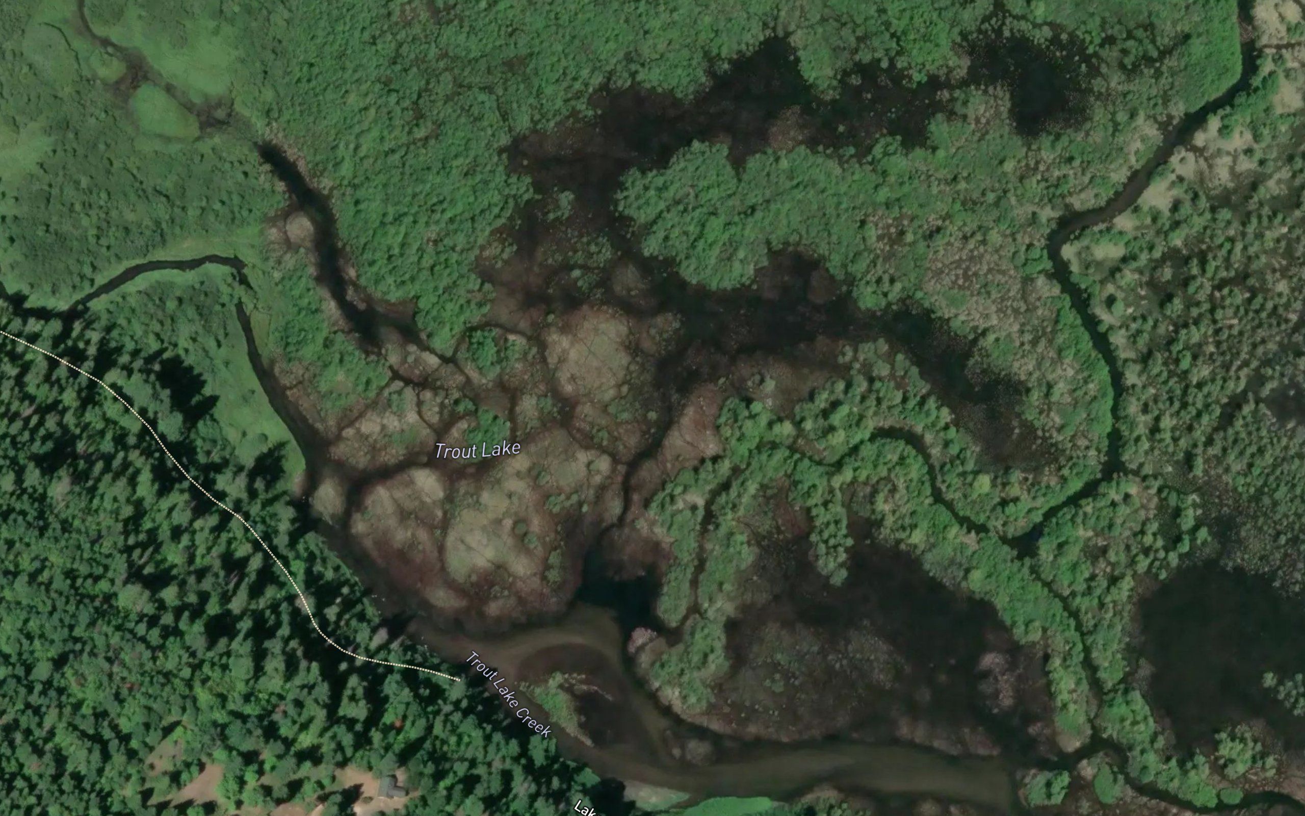 Trout Lake