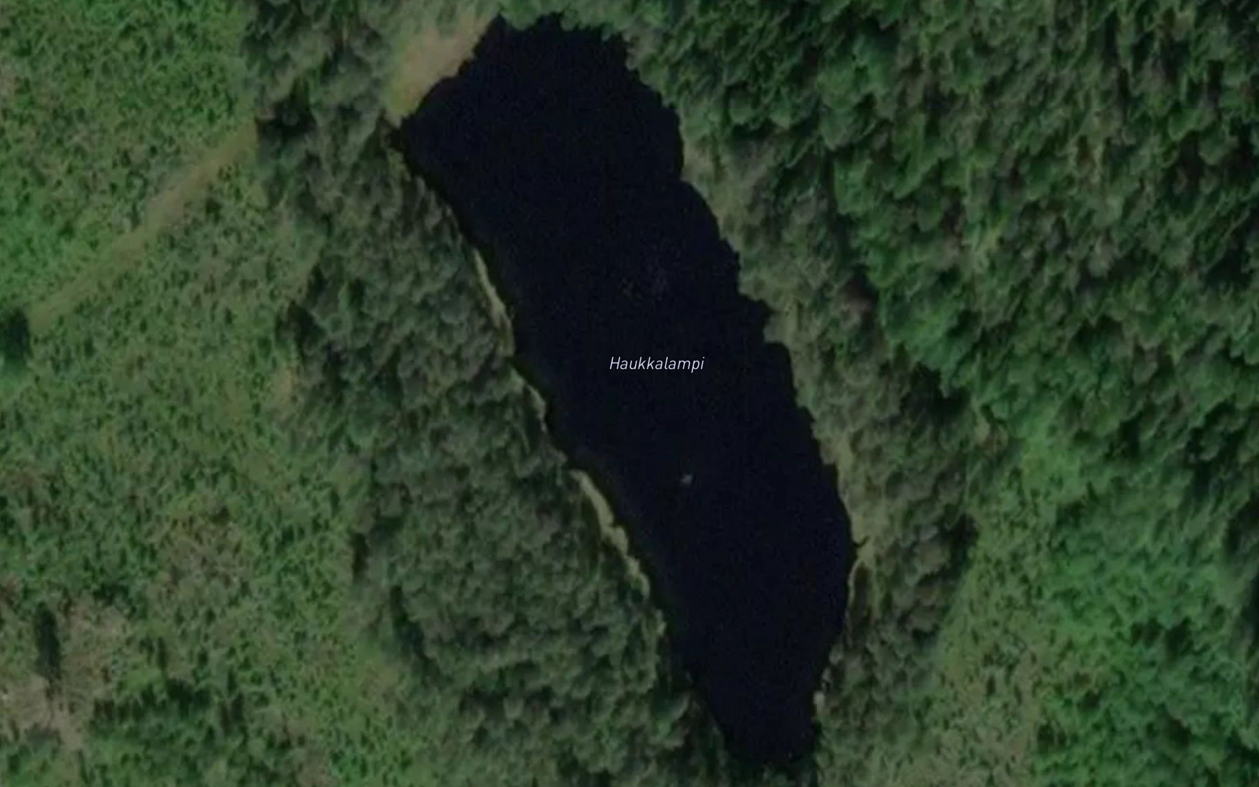 Haukkalampi