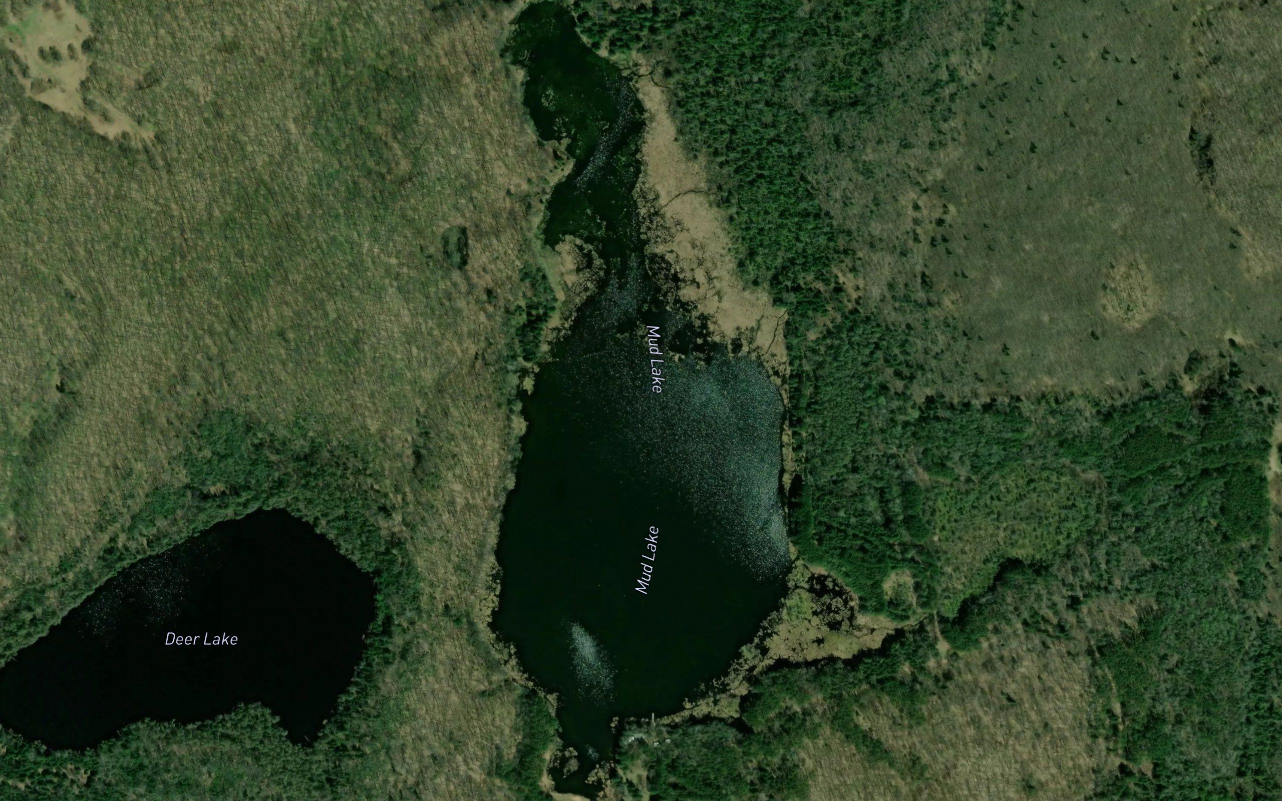 Mud Lake