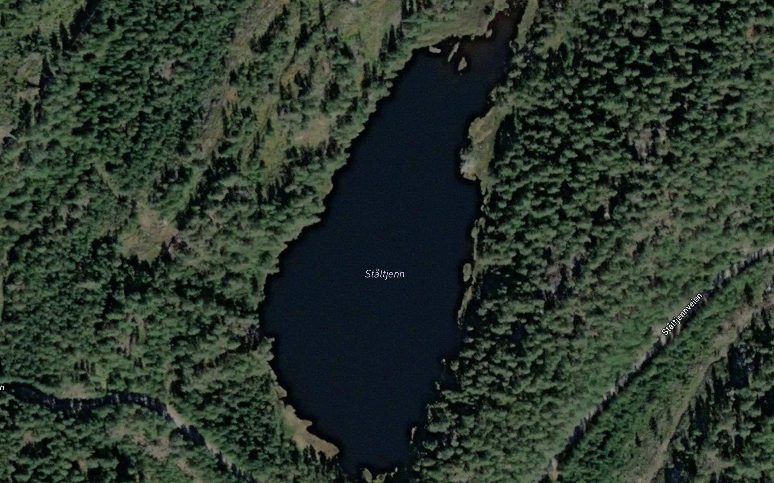 Staltjerna