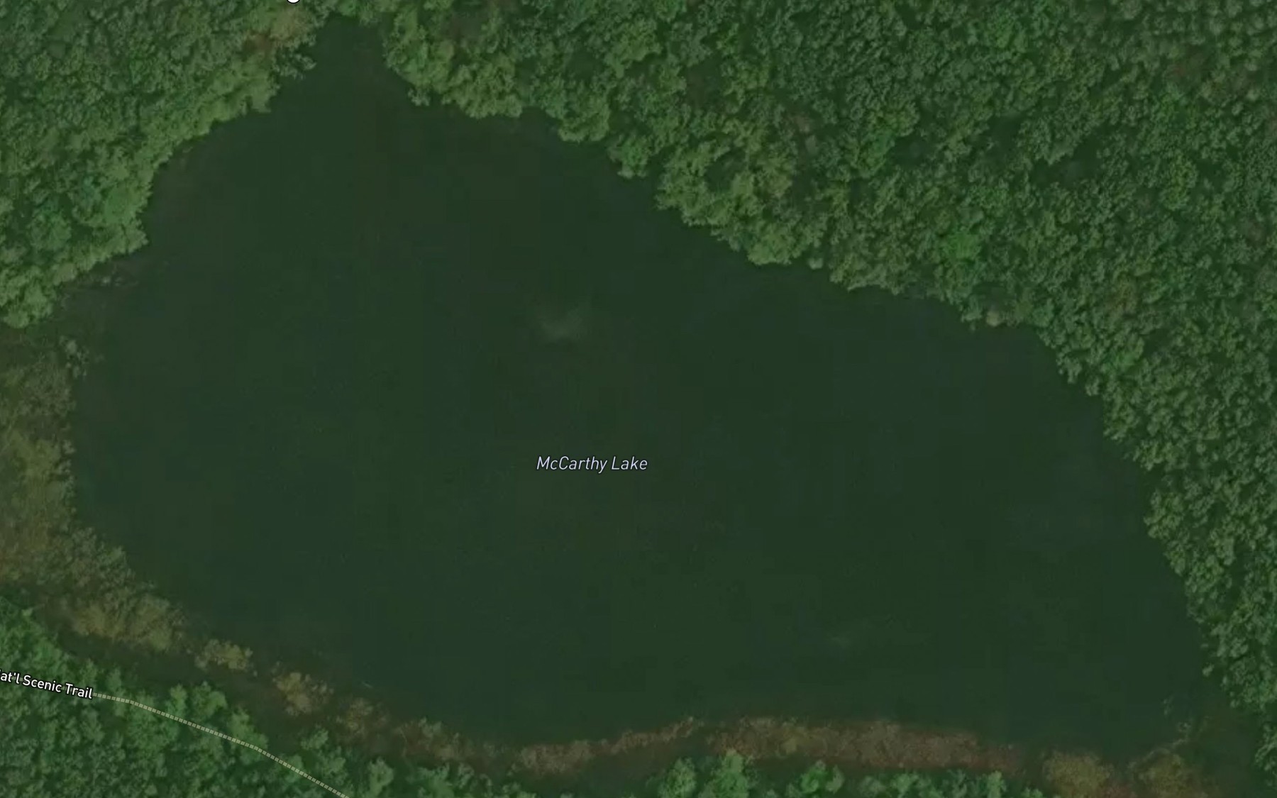 Satellite map of the McCarthy Lake