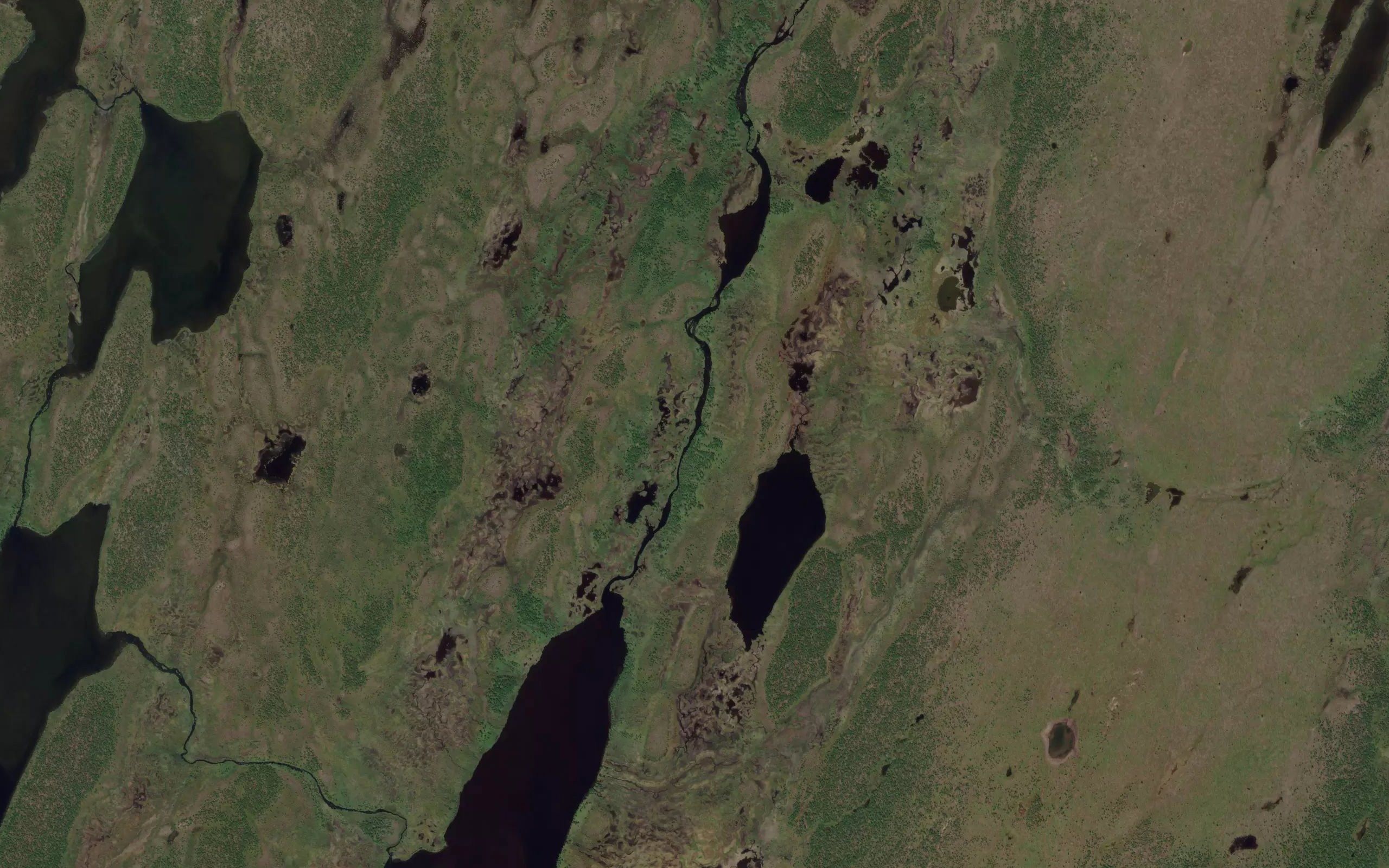 Karpulijoki