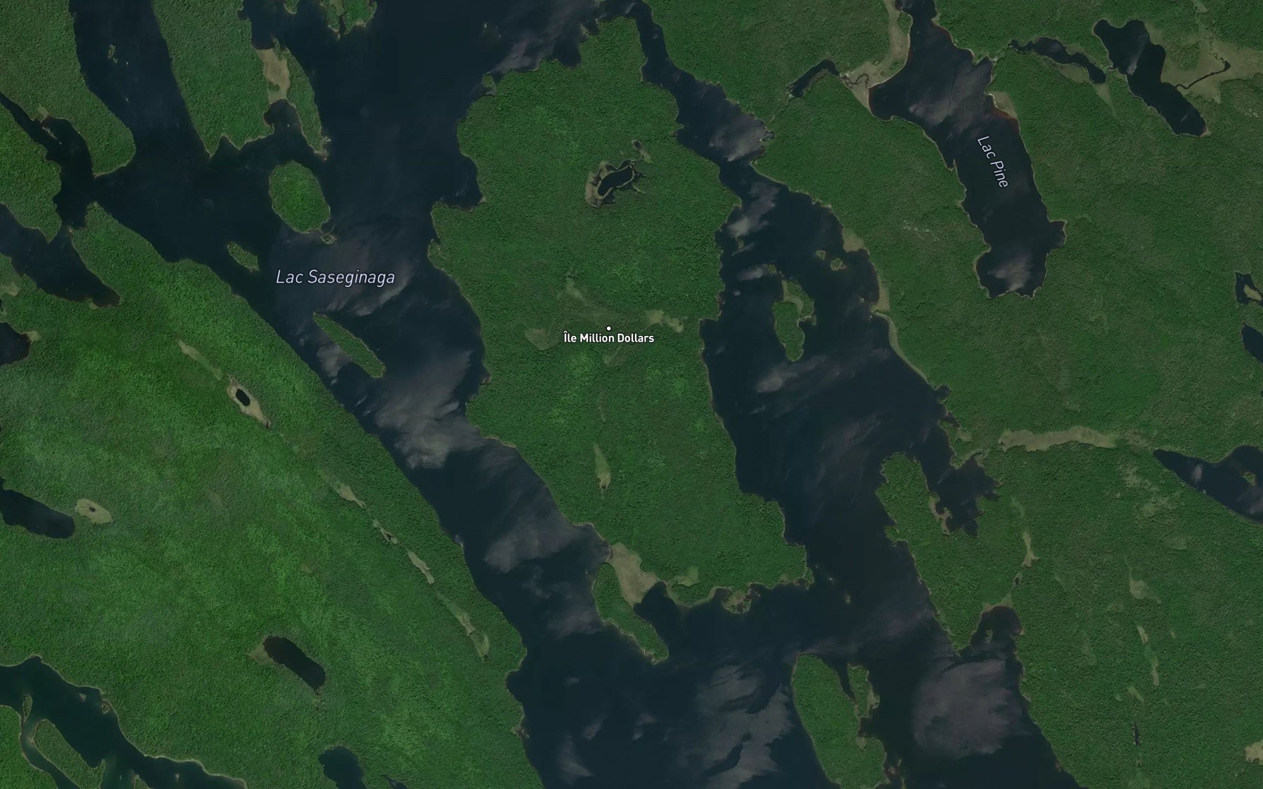 Satellite map of the Lac Saseginaga