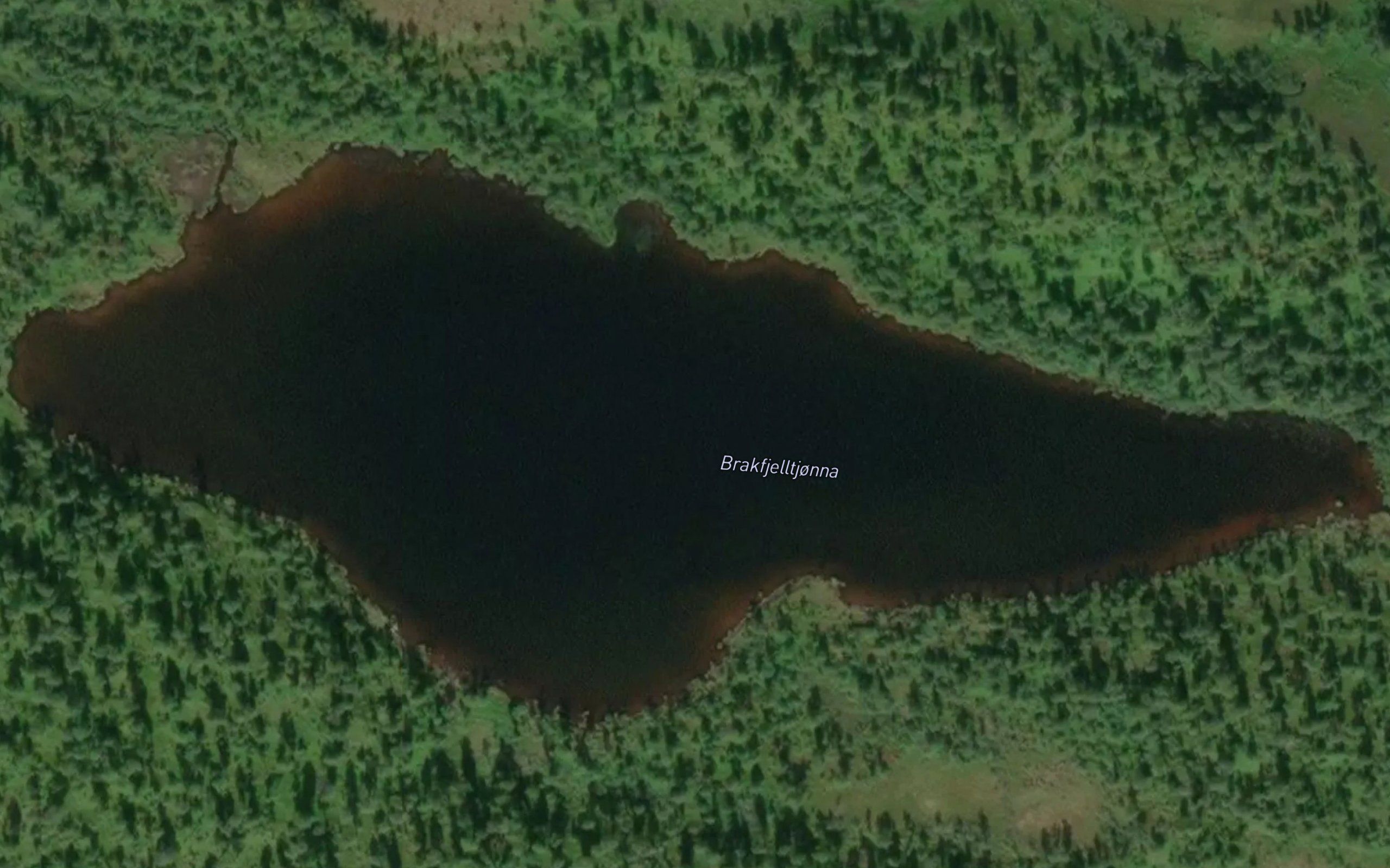 Brakfjelltjorna