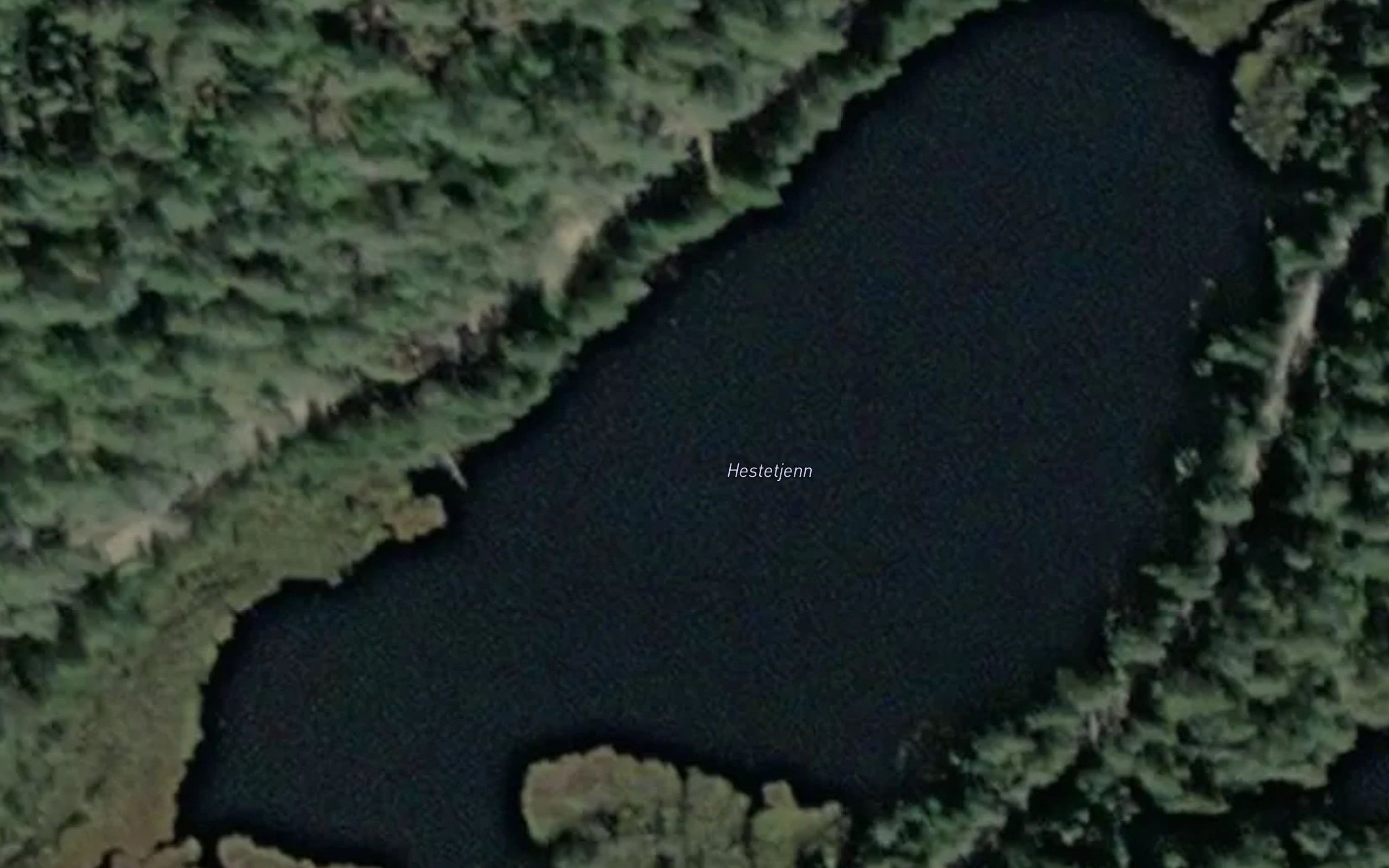 Hesttjern