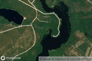 Lower Alligator Creek