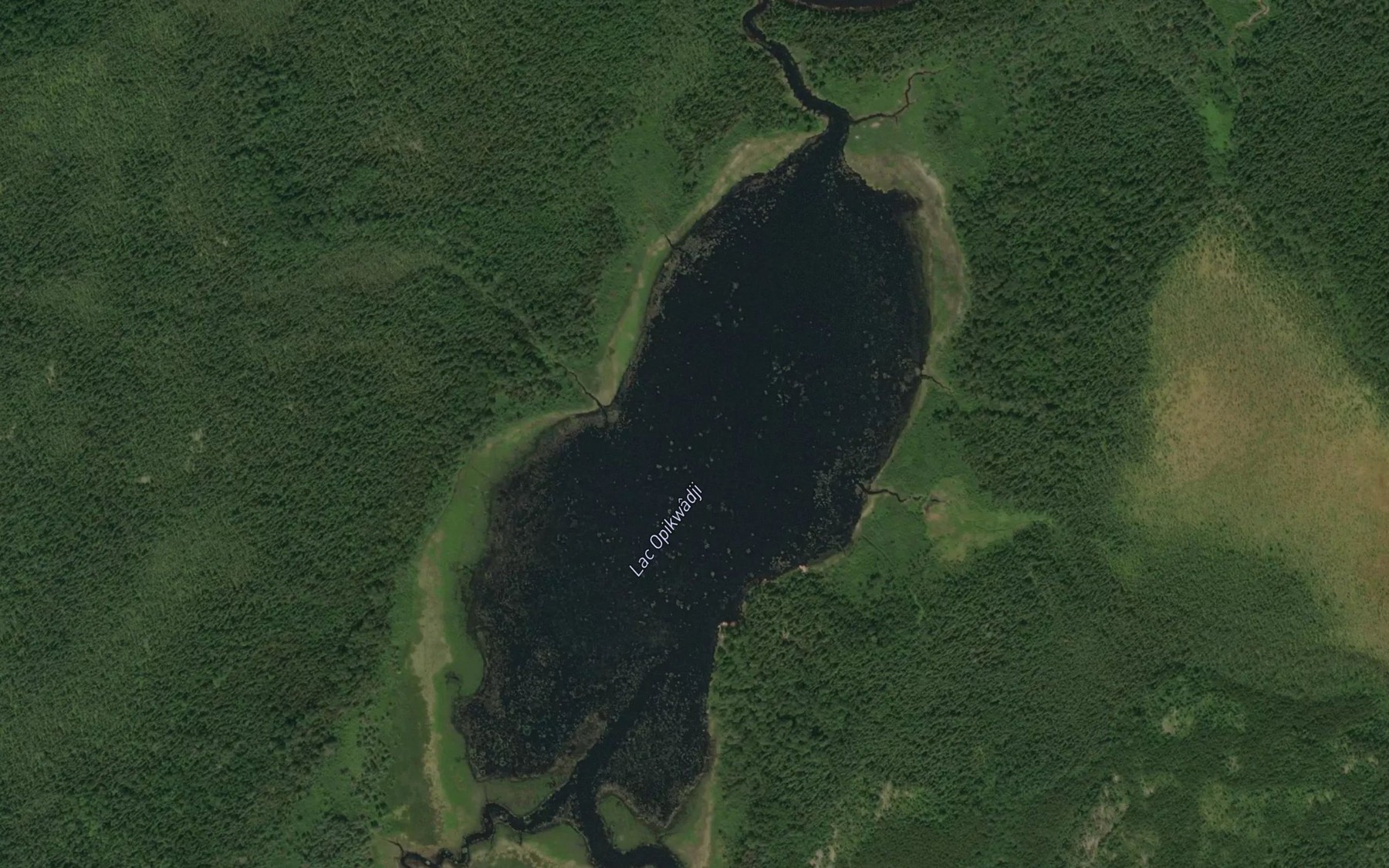 Satellite map of the Lac Opikwadji