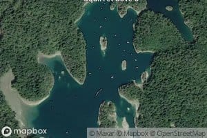 Squirrel Cove