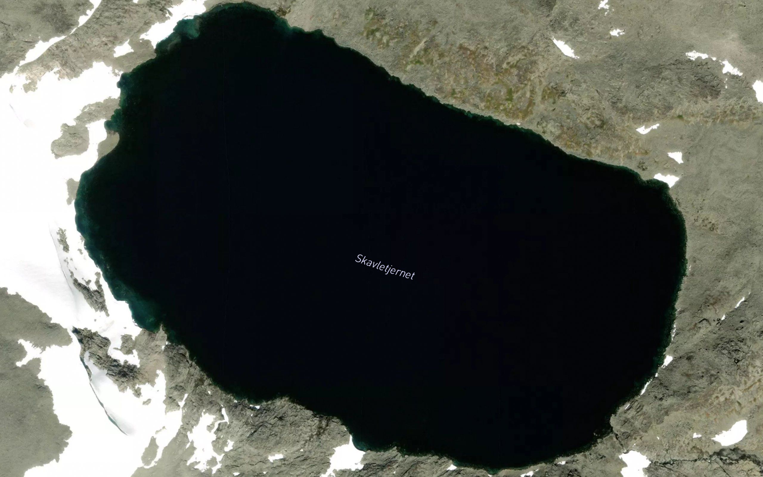 Skarletjednet