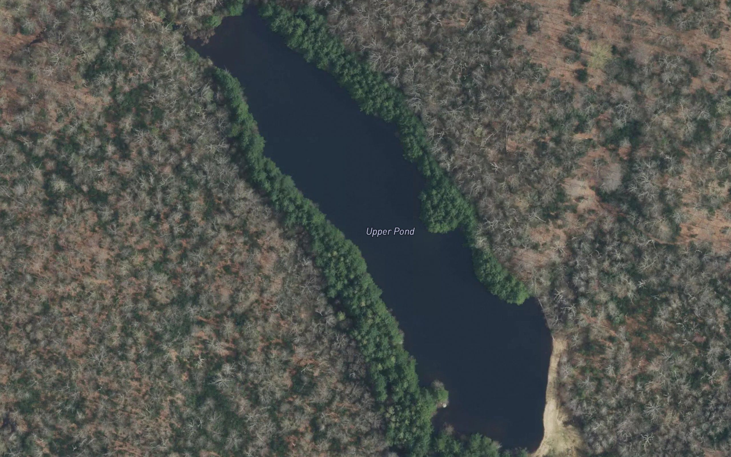 Upper Pond