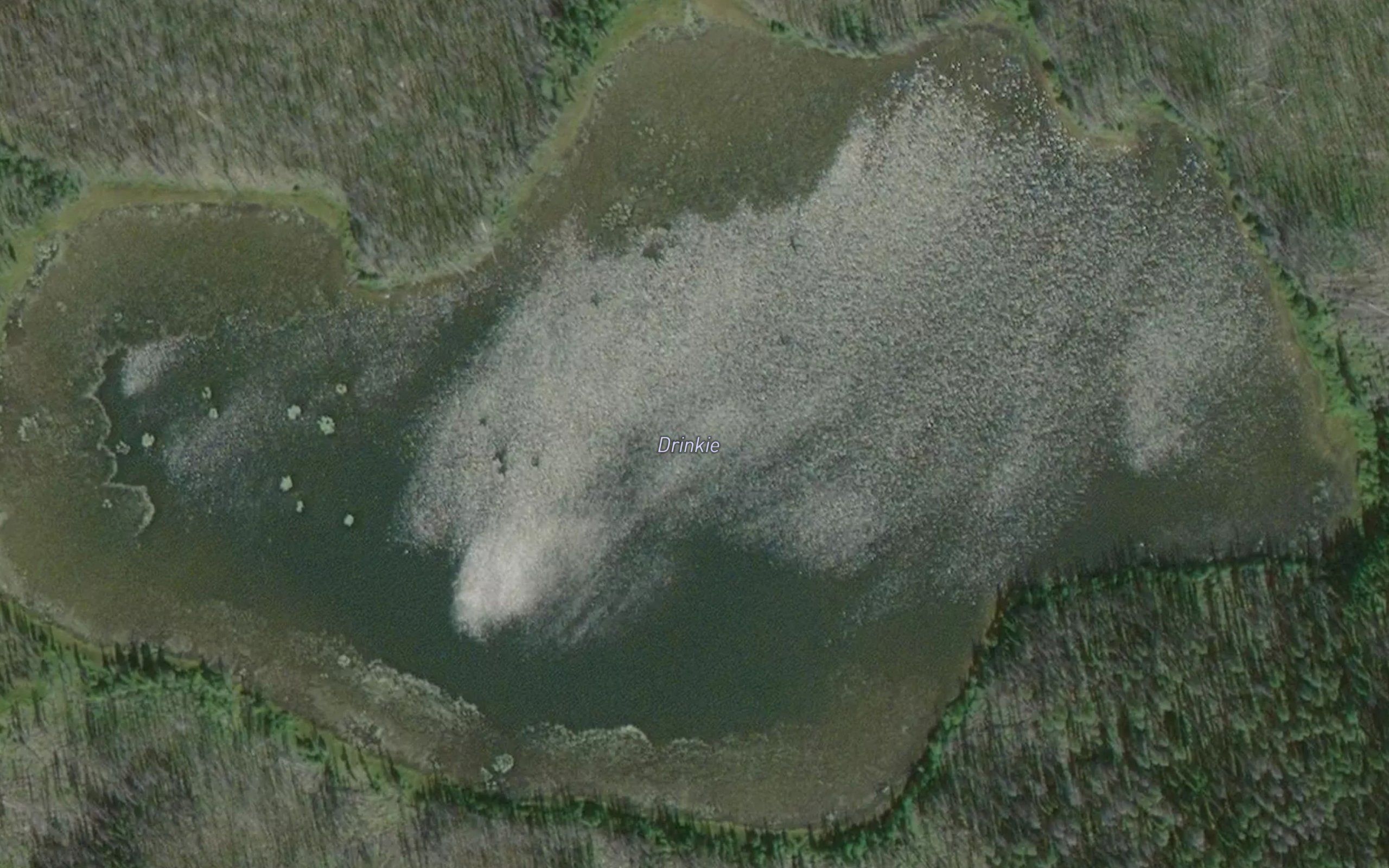 Loch Drinkie