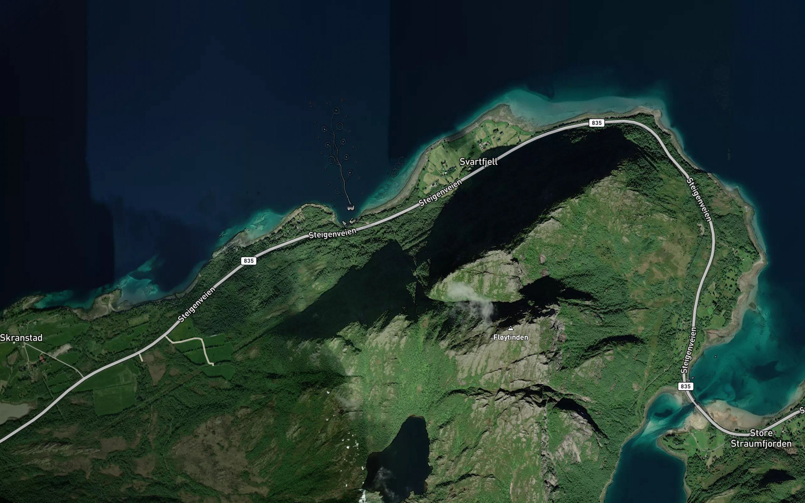 Steinelva