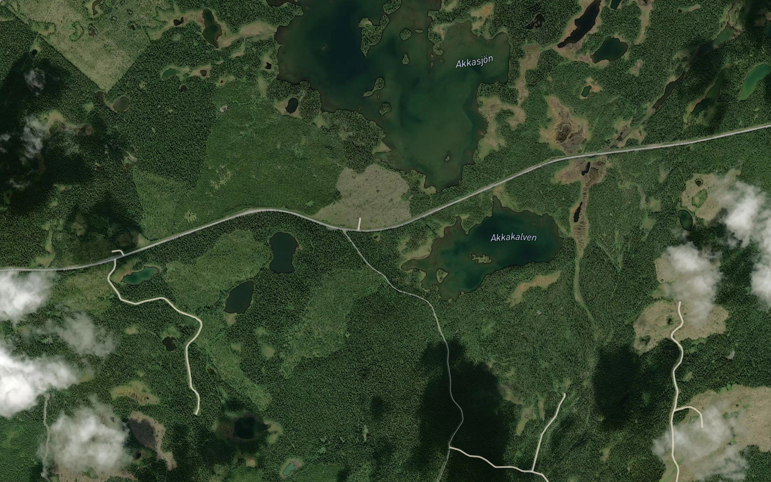 Akkasjon
