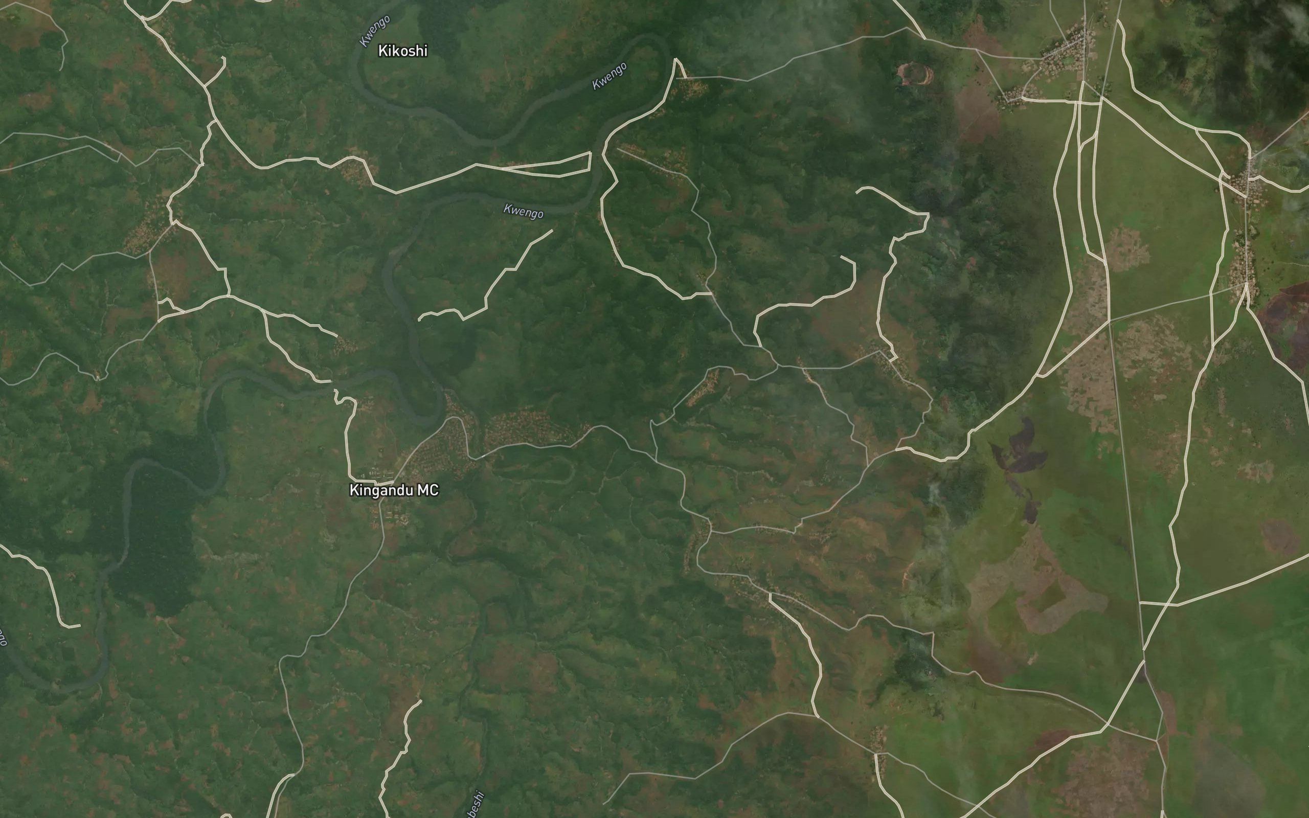 Kungongo