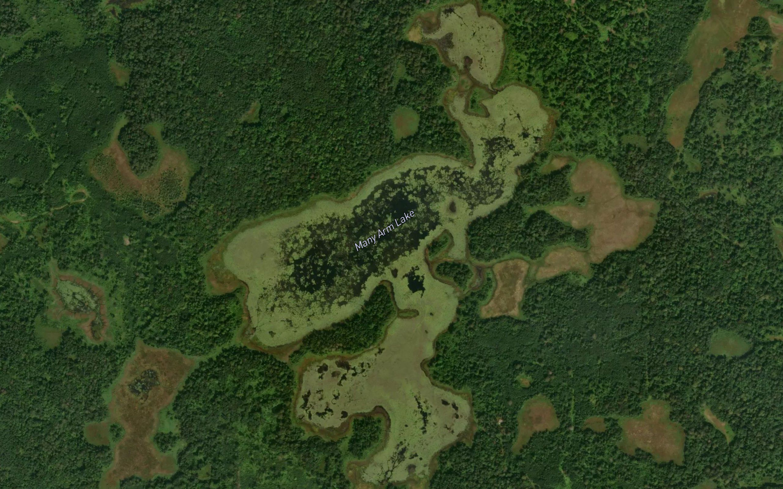 Many Arm Lake