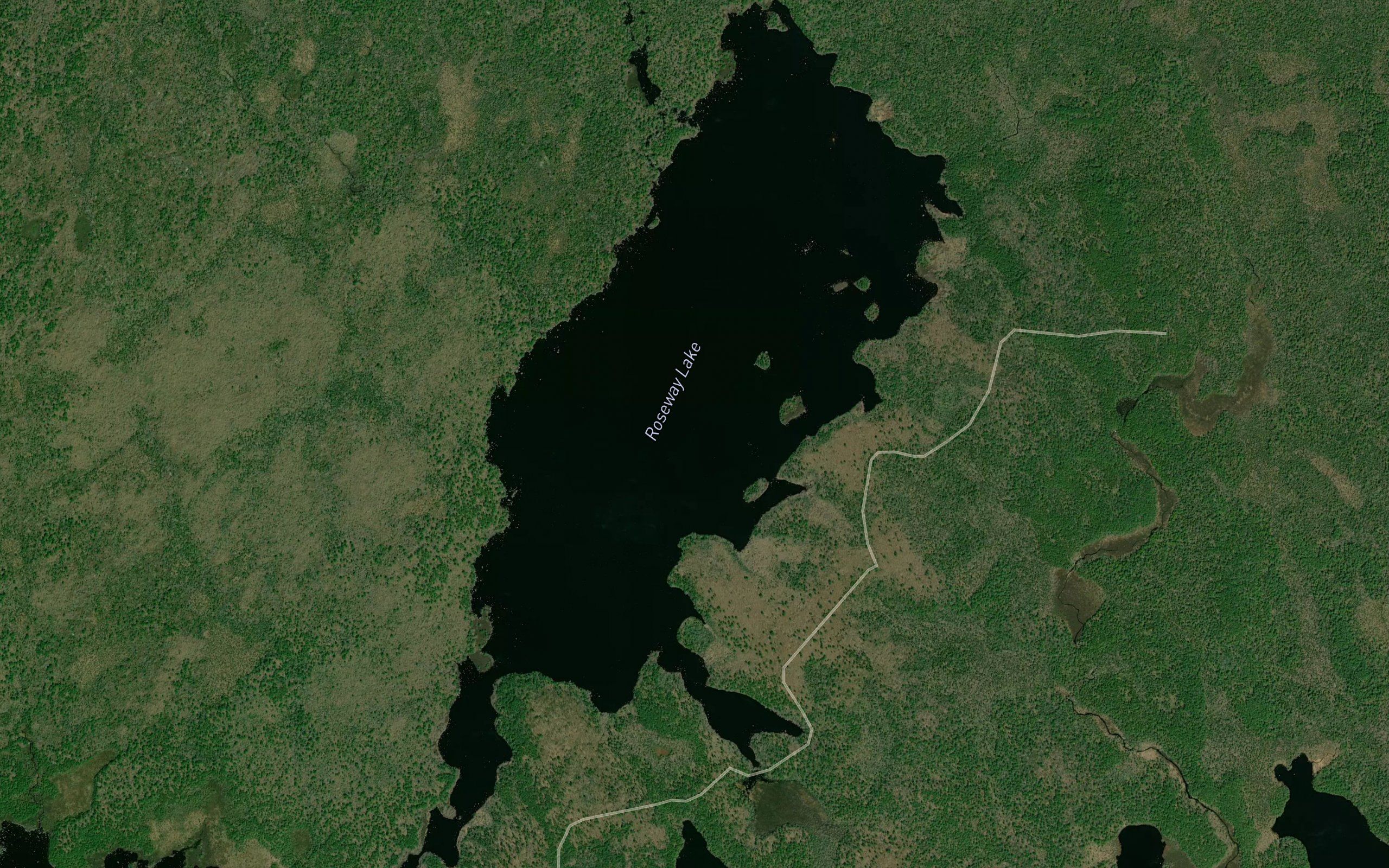 Roseway Lake