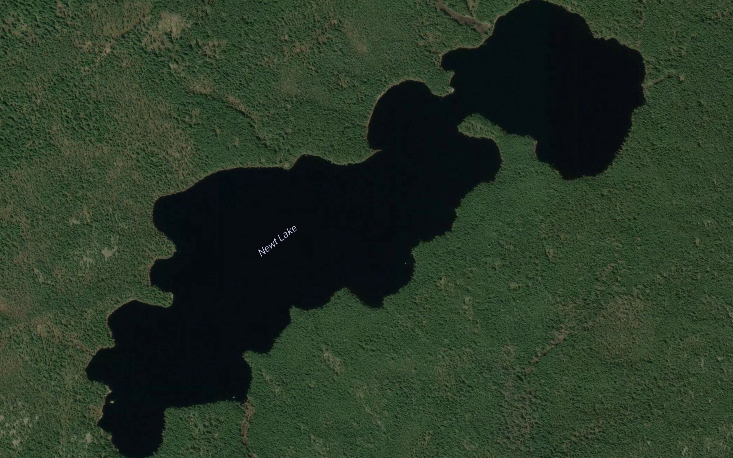 Newt Lake