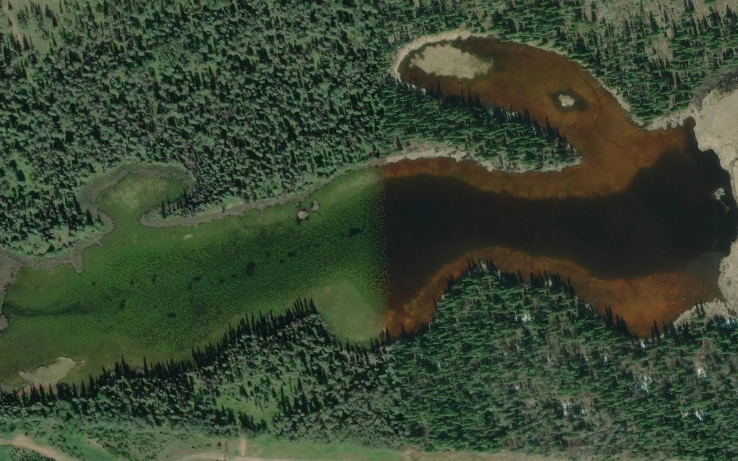 Endako Marsh Lake